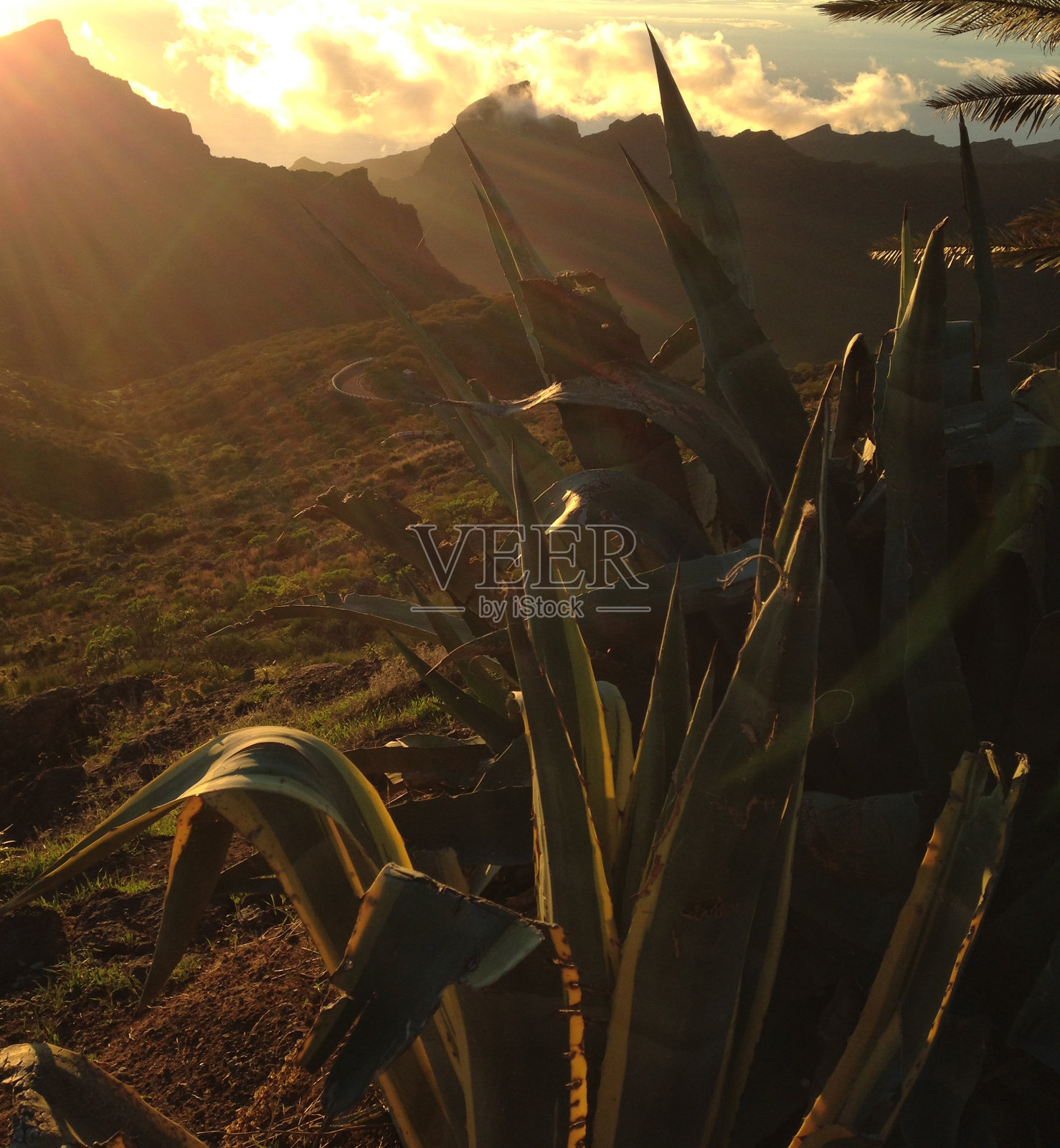 日落,泰德国家公园,特内里费照片摄影图片