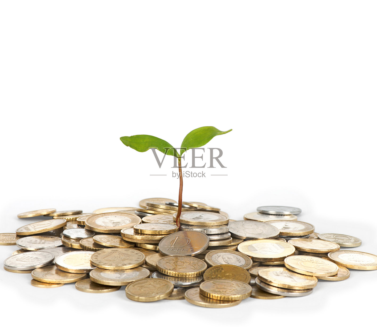 发芽的硬币照片摄影图片