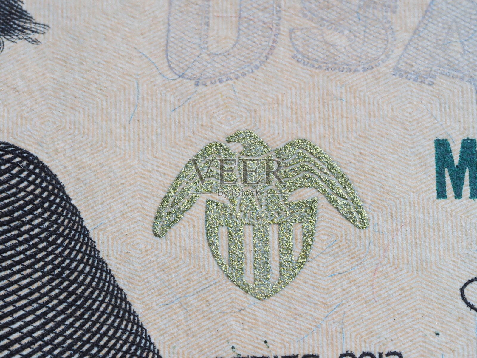 美元系列宏观、超宏观、老鹰照片摄影图片