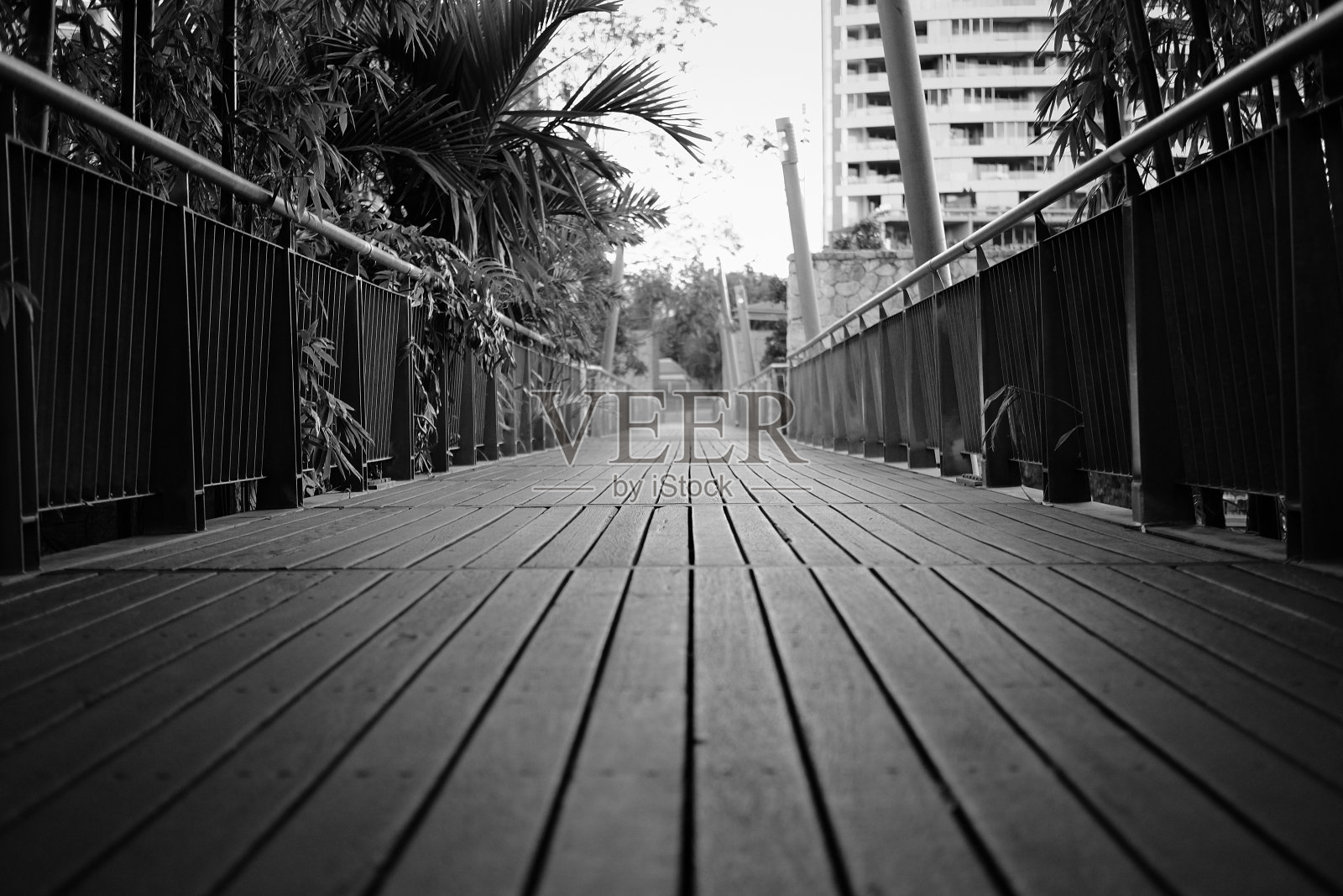 这座桥照片摄影图片