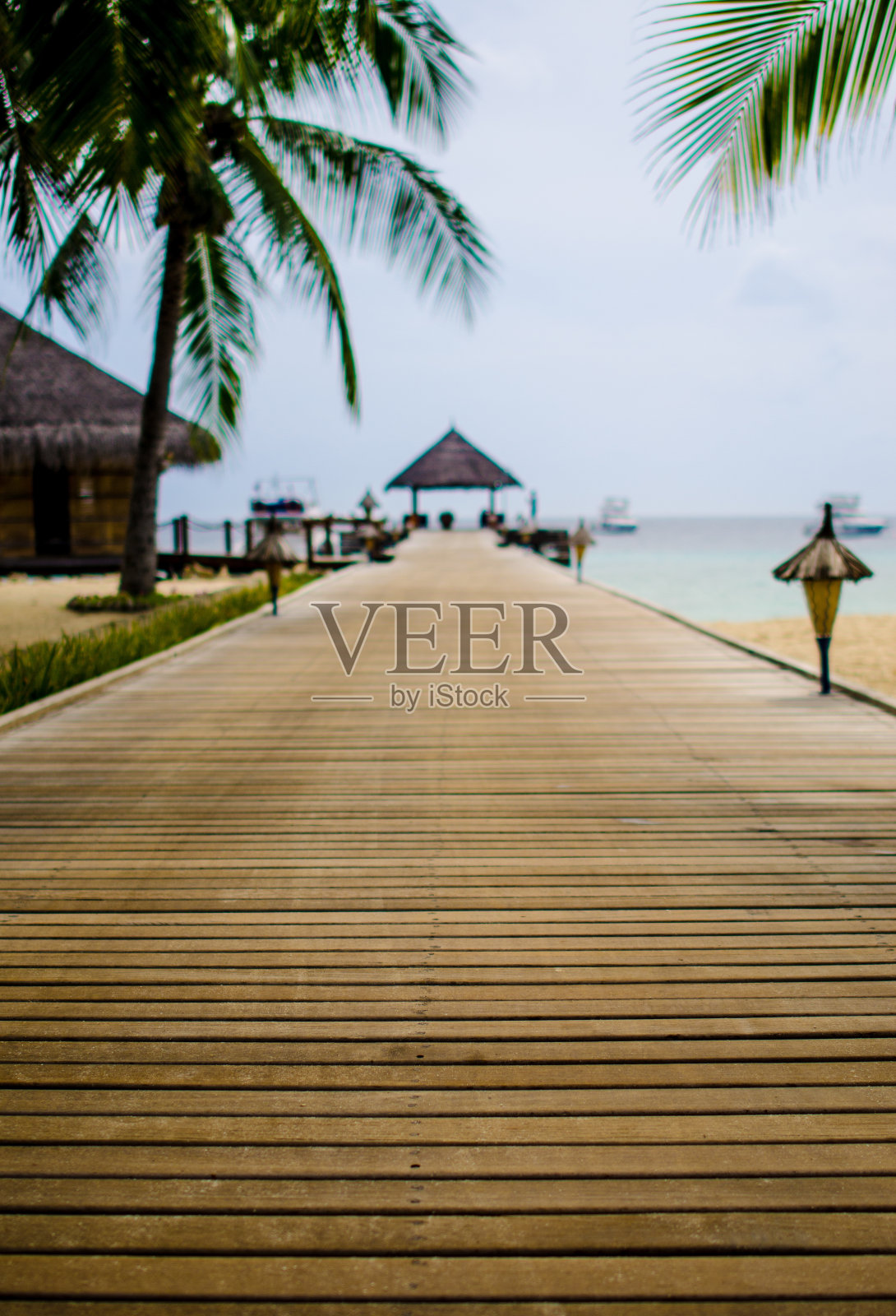 的木板路照片摄影图片