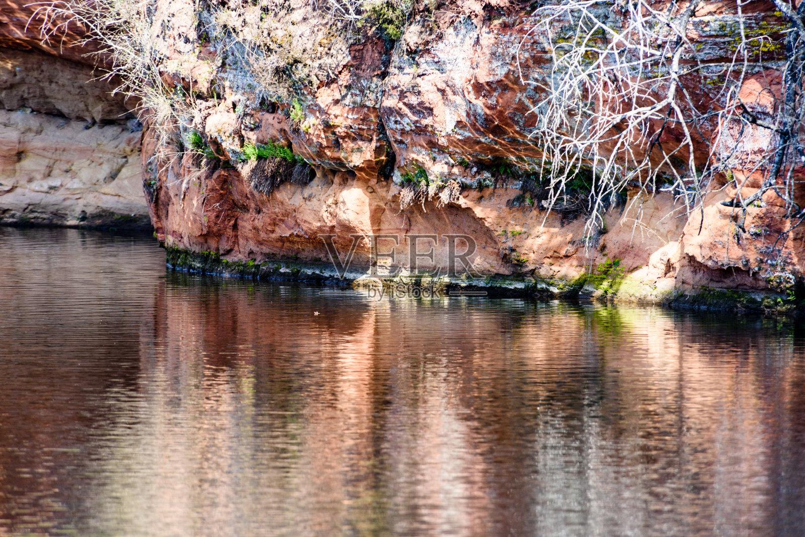 拉脱维亚高加斯国家公园的砂岩悬崖照片摄影图片