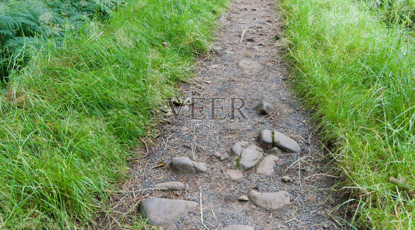 沿着哈德良长城顶端的小路照片摄影图片