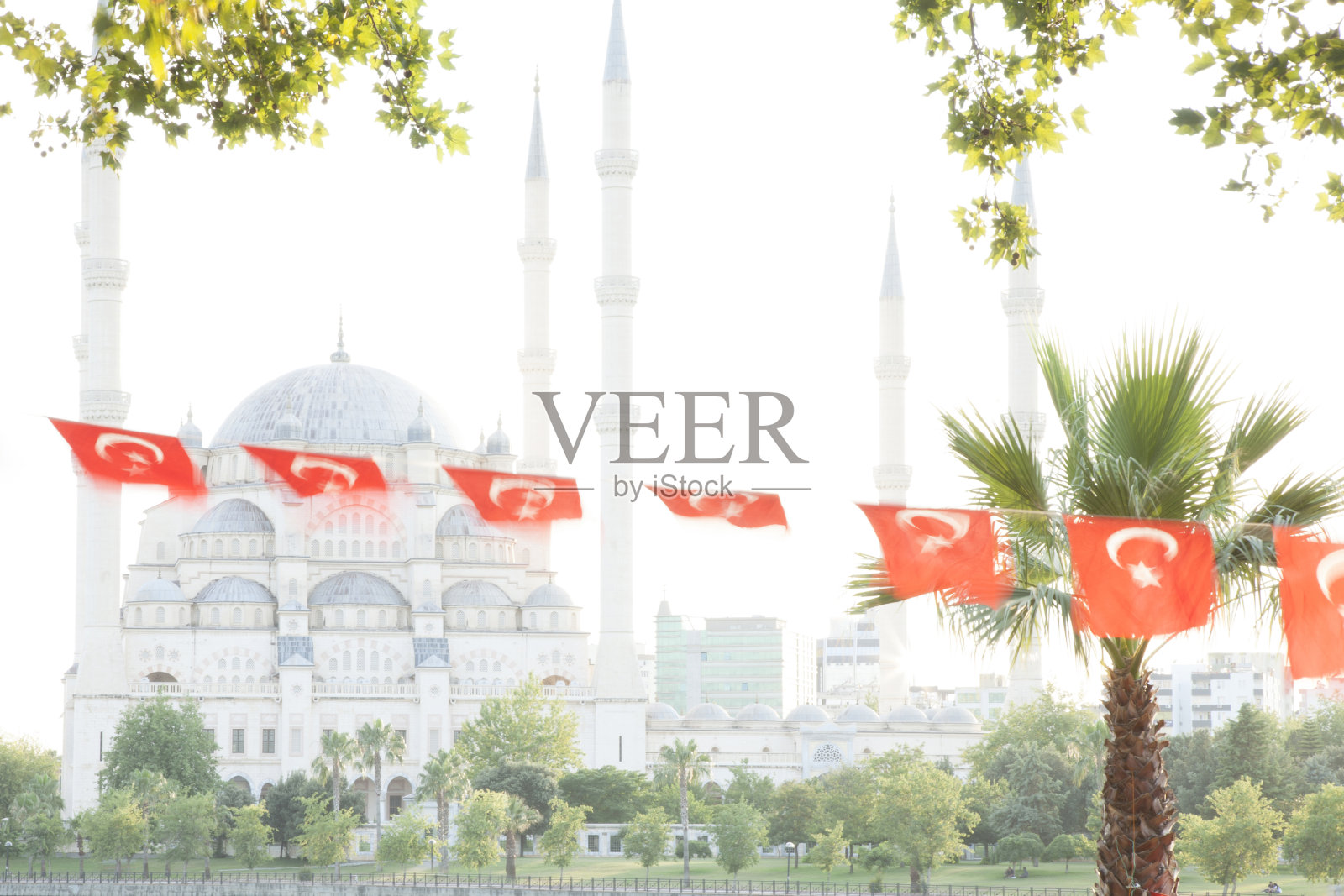 斋月照片摄影图片