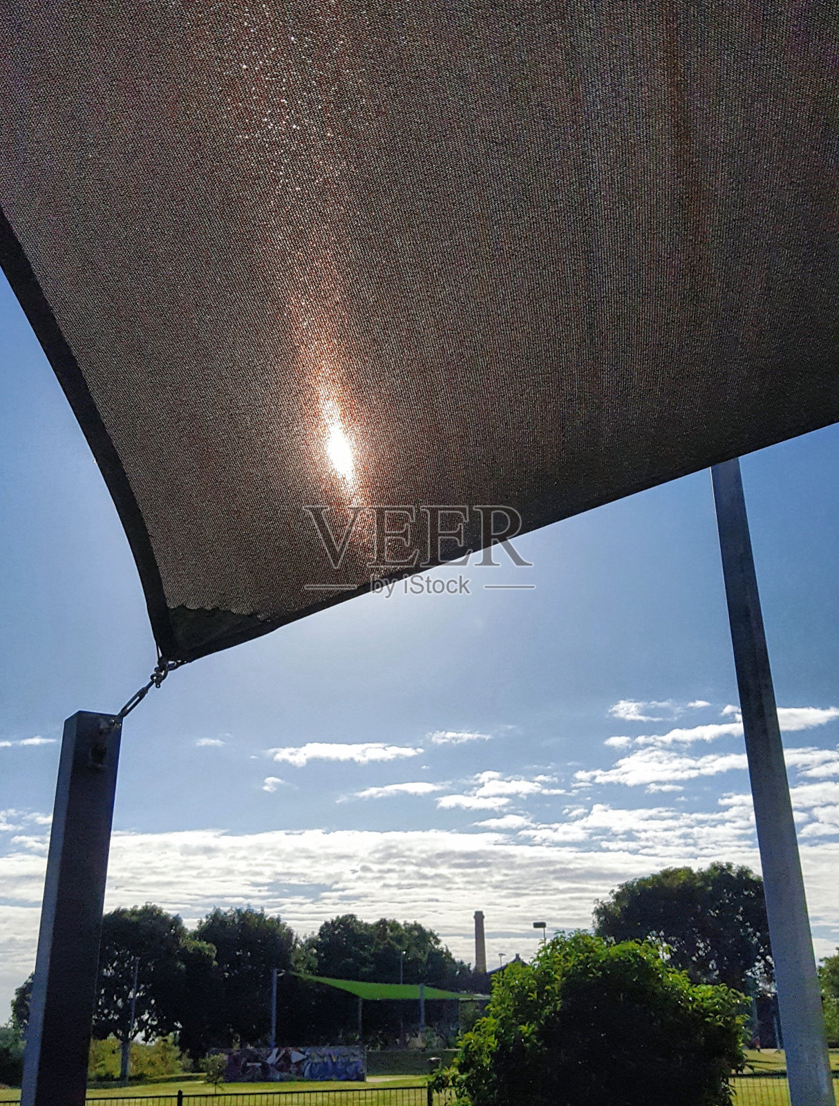 遮天蔽日照片摄影图片