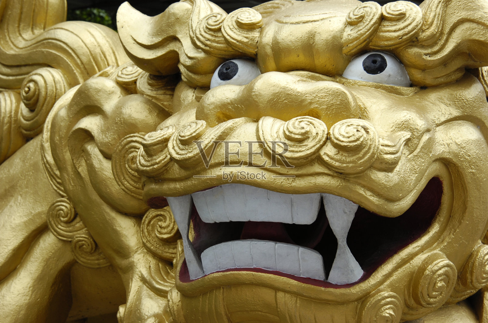 金狮奖照片摄影图片