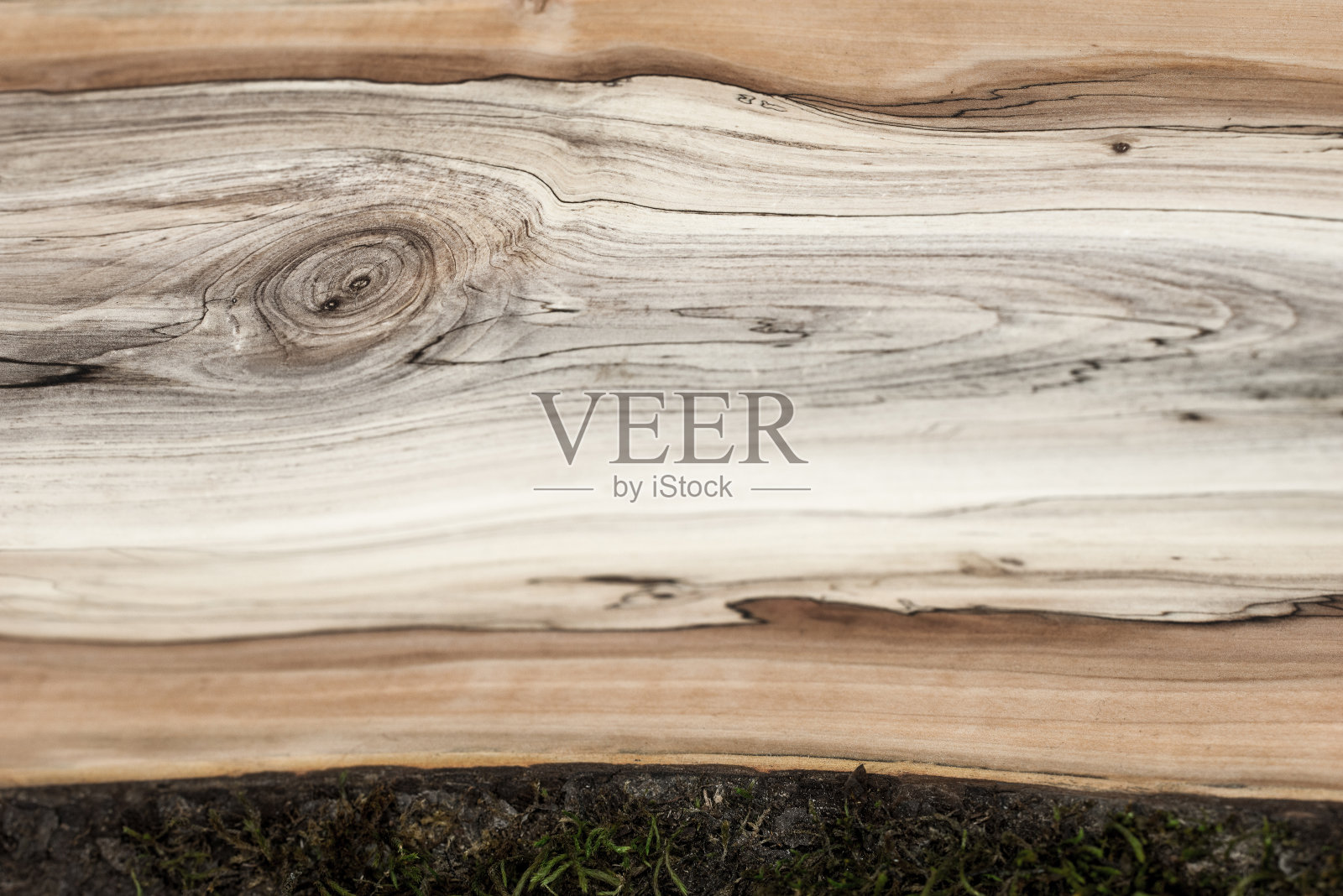 苹果树照片摄影图片