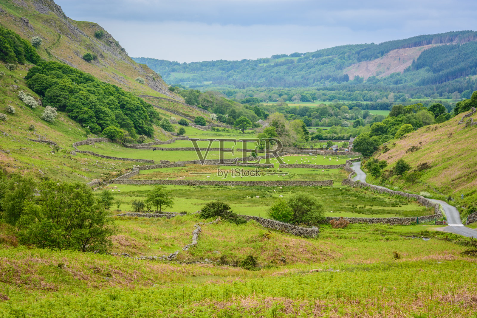 湖泊通过照片摄影图片