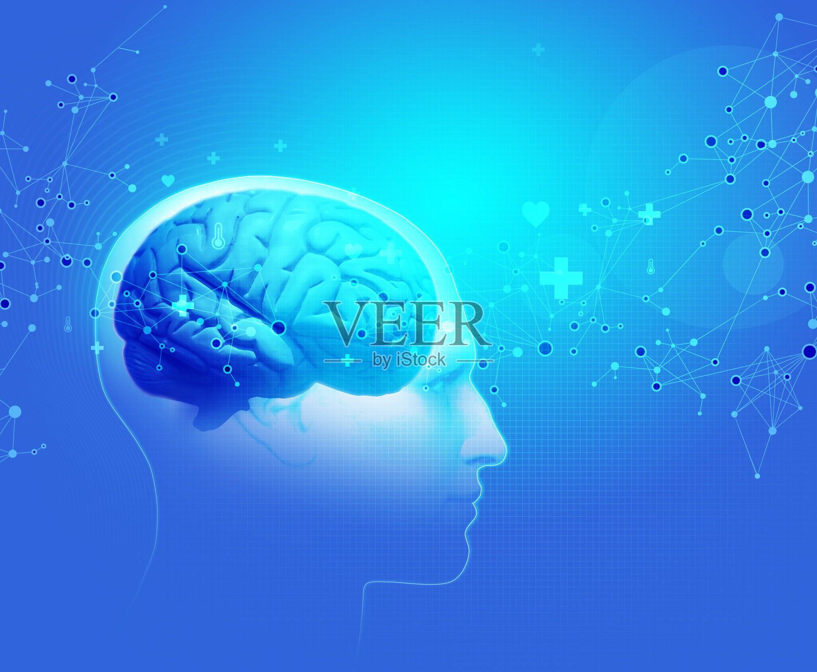 人体-大脑照片摄影图片