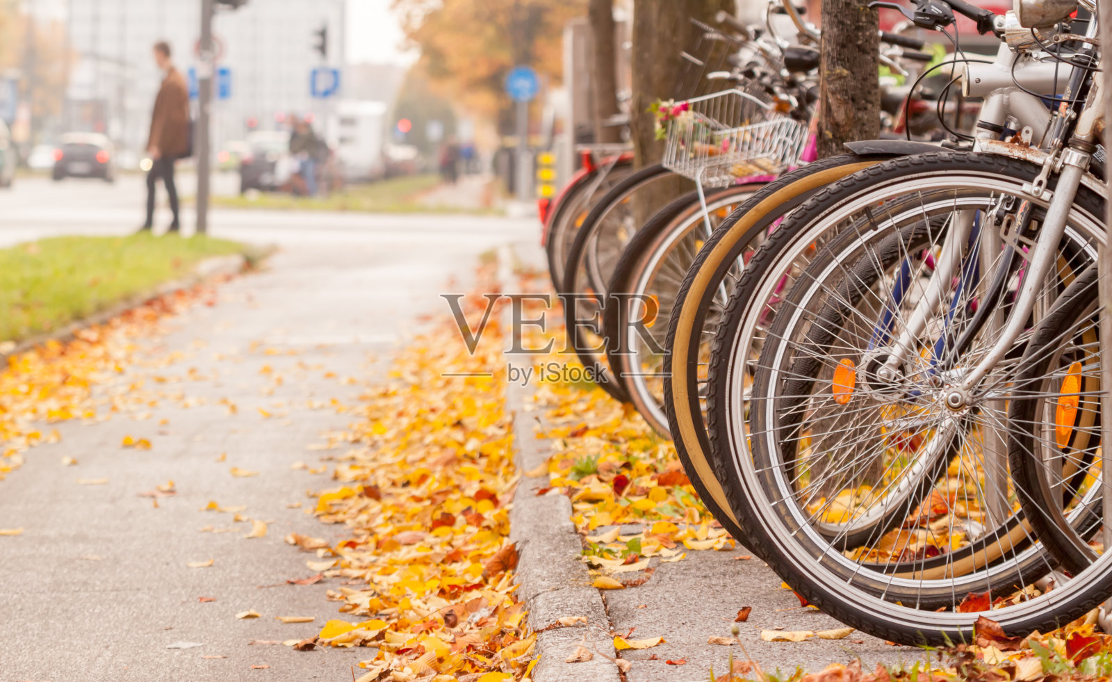 卢布尔雅那的秋季自行车道照片摄影图片