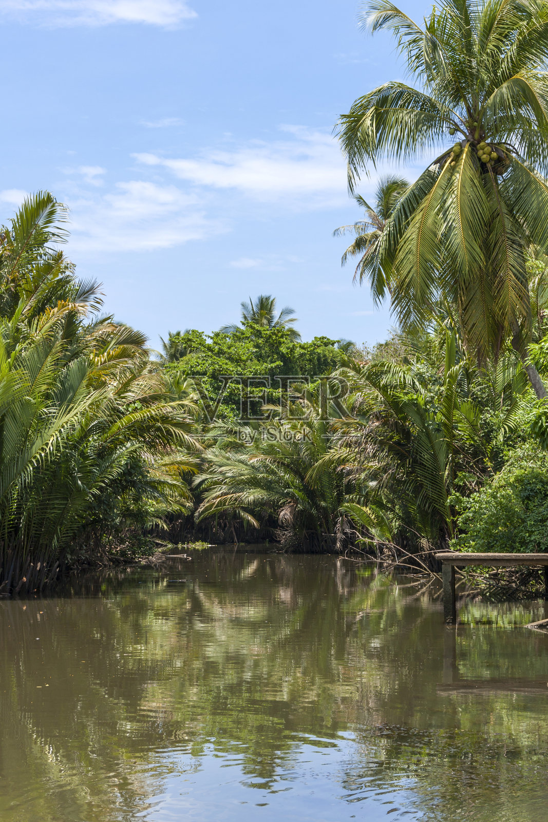 泰国河流的自然背景照片摄影图片