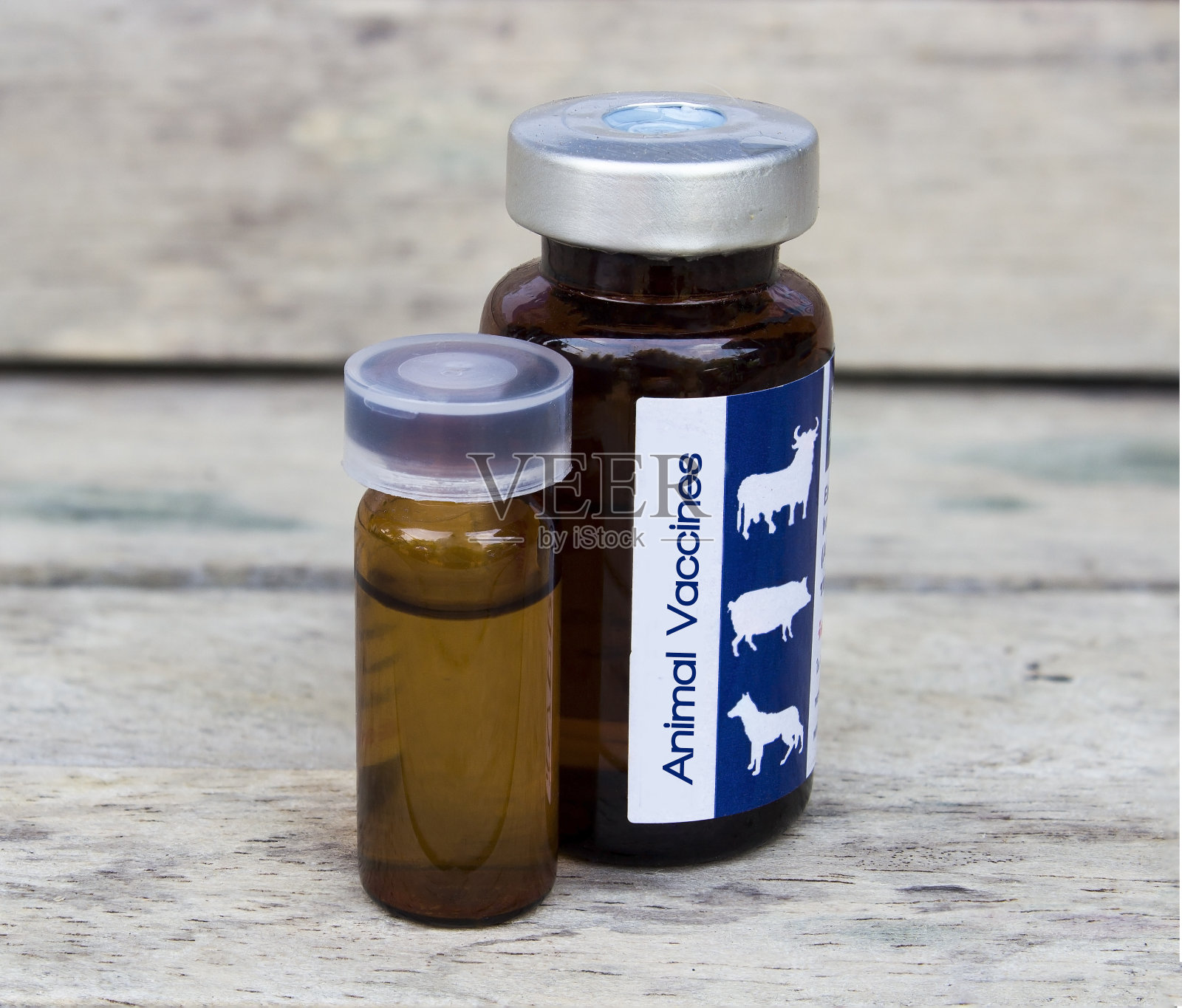 动物疫苗用于动物皮肤愈合,柔软集中照片摄影图片