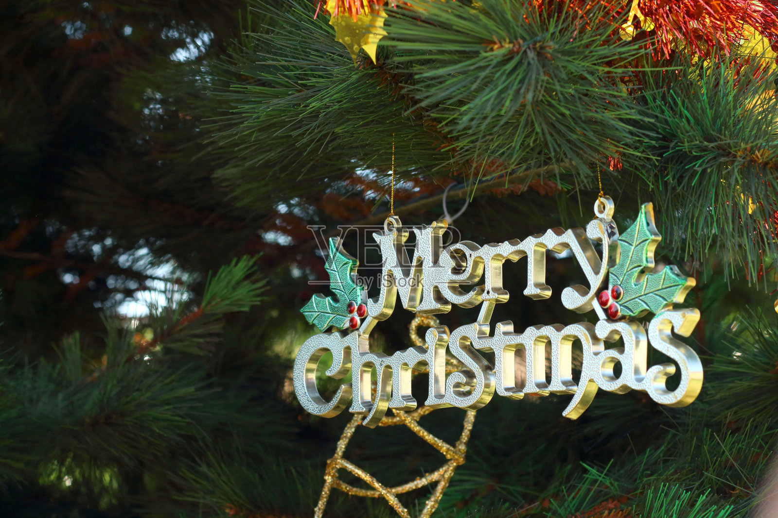 圣诞树上挂着圣诞标志照片摄影图片