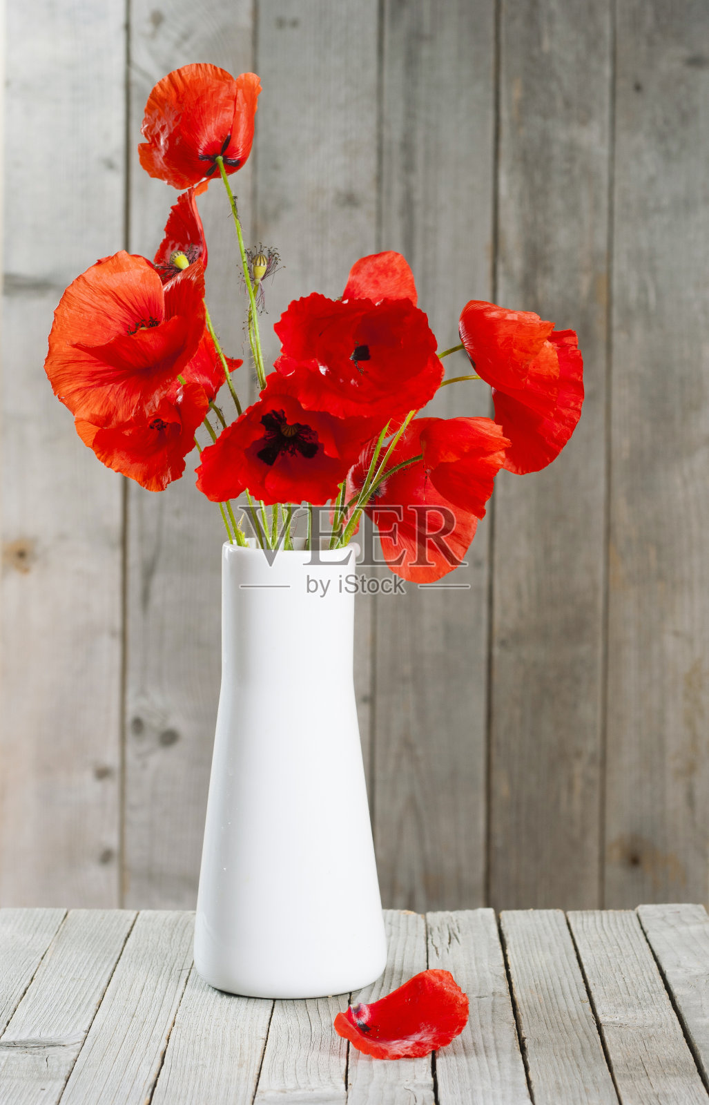 罂粟花的花瓶照片摄影图片