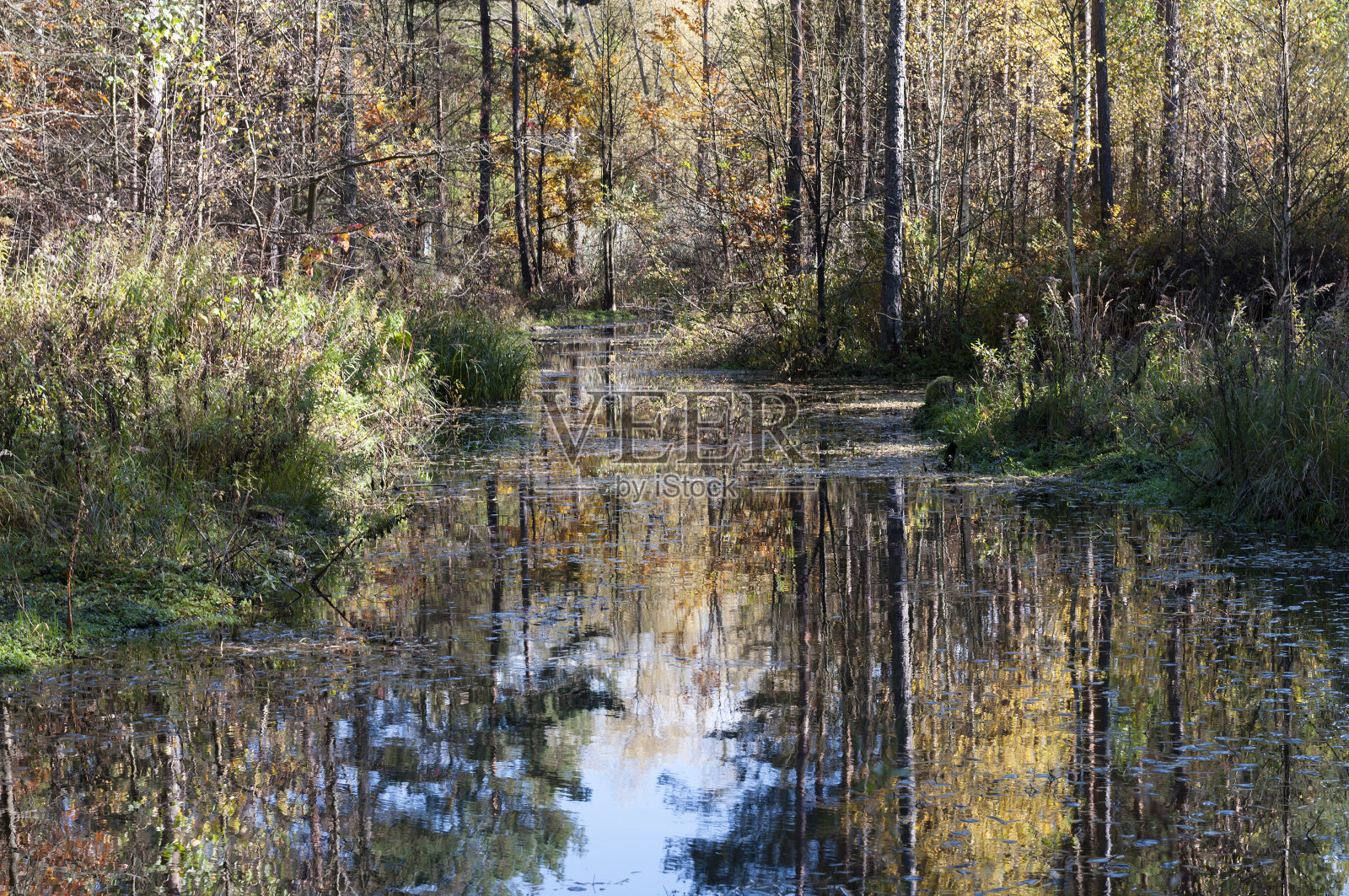 秋季河流景观照片摄影图片