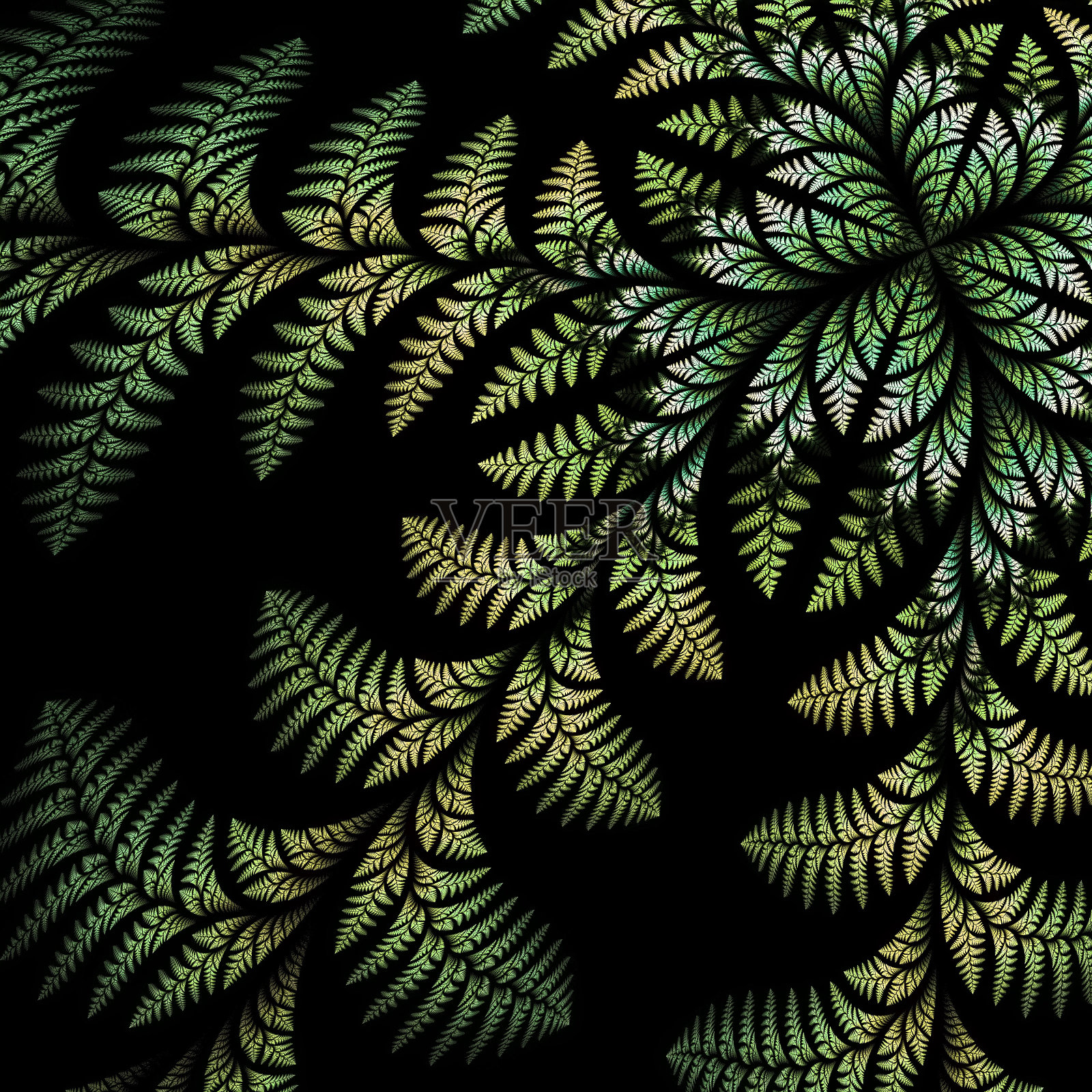 难以置信的不对称图案的叶子在黑色的背景。插画图片素材