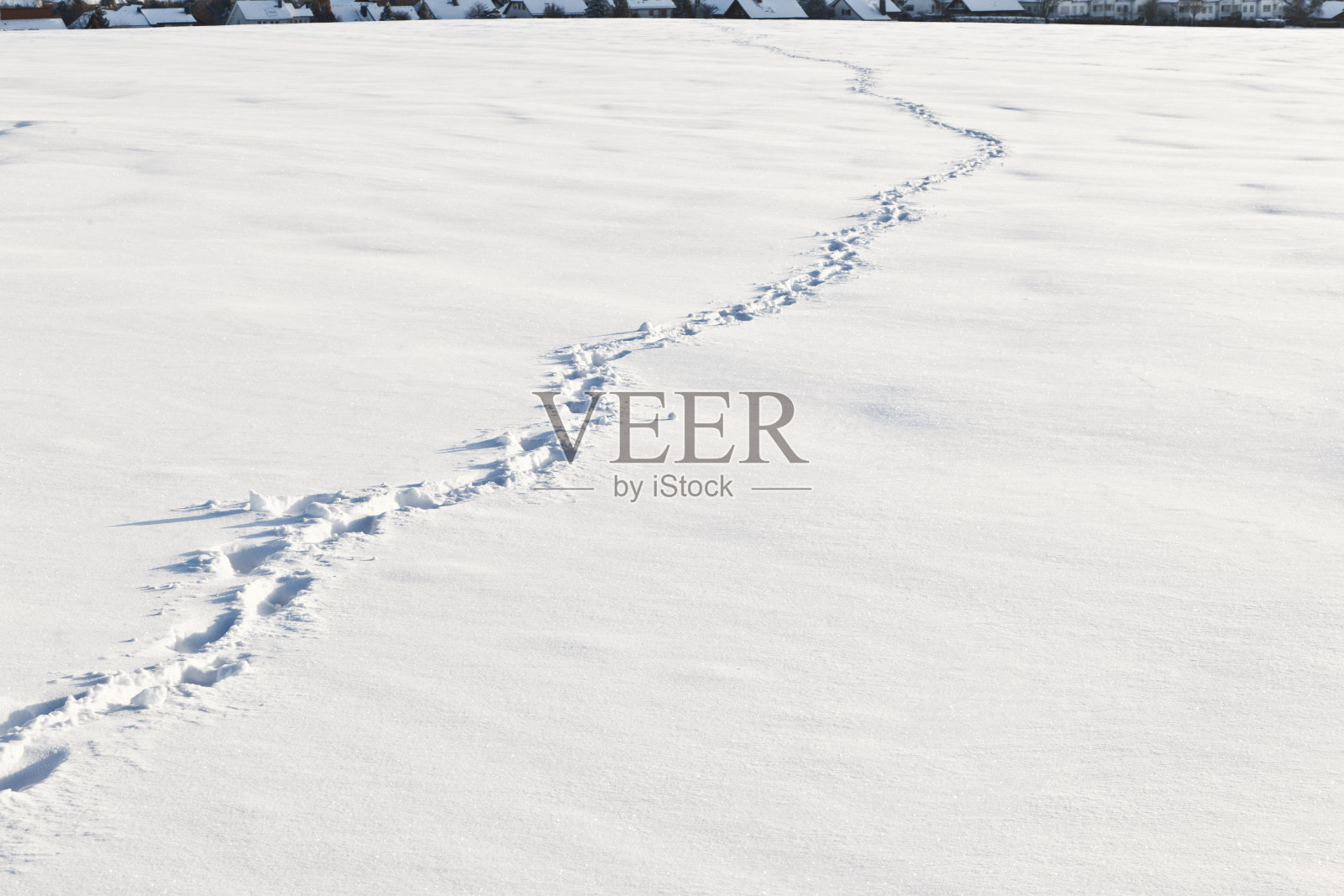 雪地上的脚步声照片摄影图片