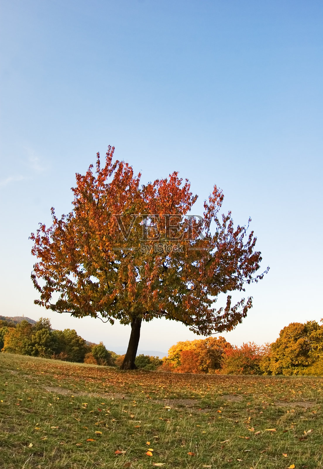 秋天照片摄影图片