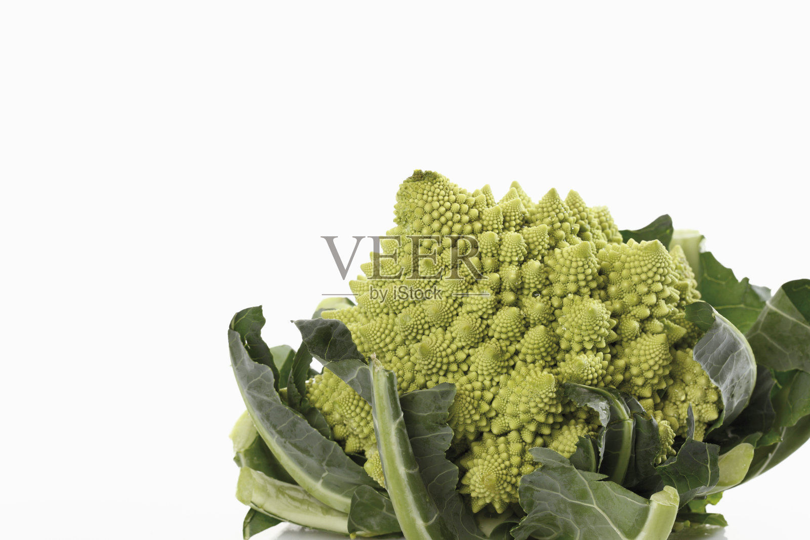 白色背景上的罗马花椰菜照片摄影图片