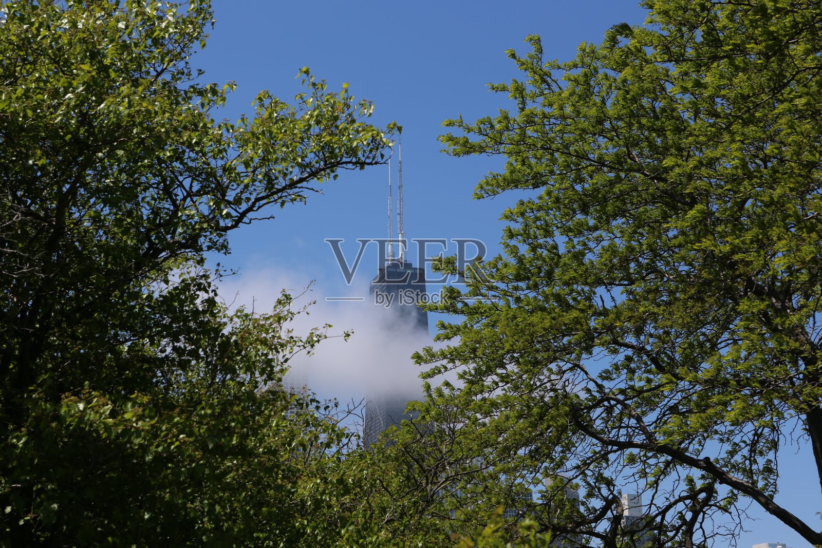 芝加哥汉考克中心照片摄影图片