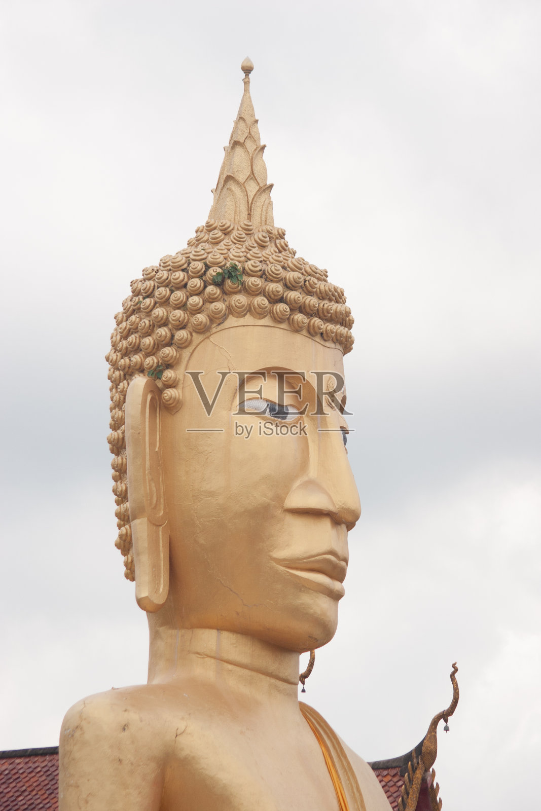 各种预先的佛。照片摄影图片