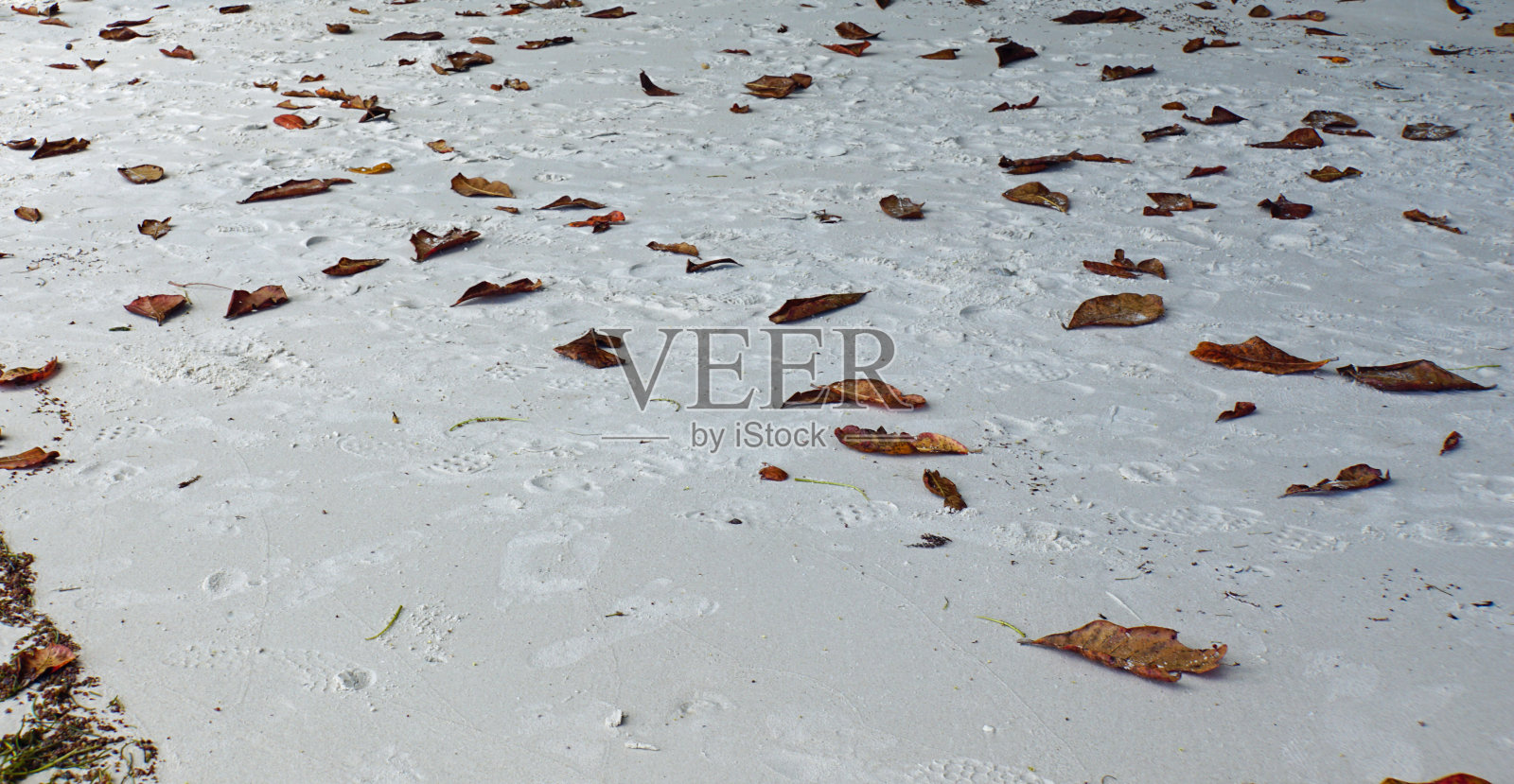 自然的热带海滩照片摄影图片