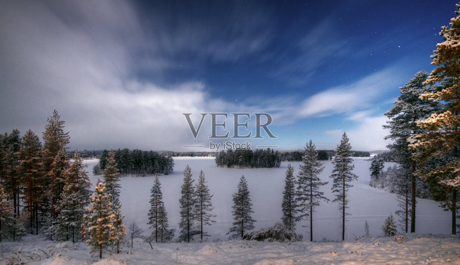 冬季月光下的夜景照片摄影图片