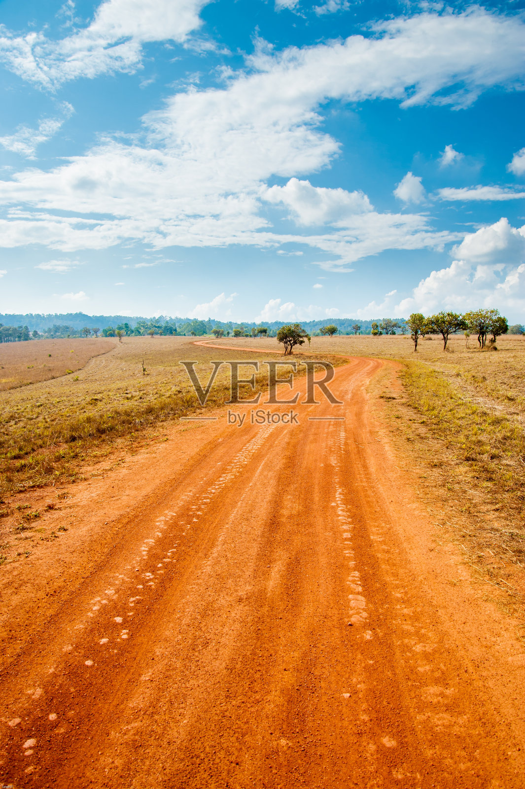 萨凡纳领域照片摄影图片