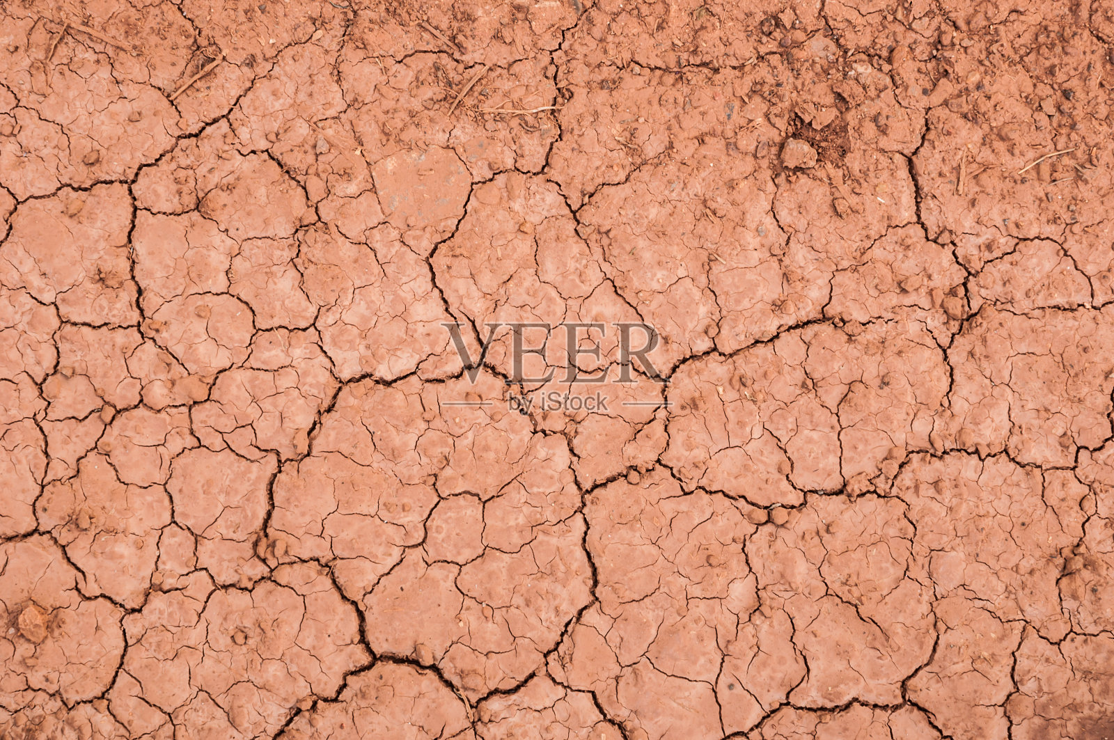 干土照片摄影图片