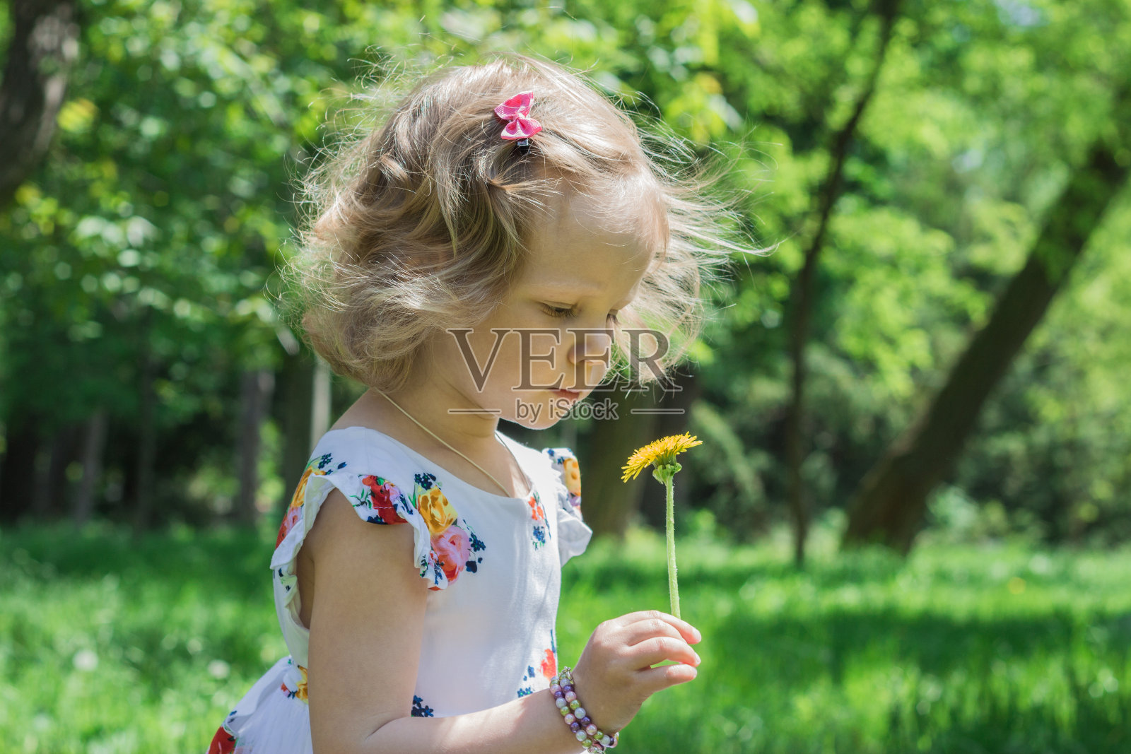 可爱的小女孩吹着蒲公英。照片摄影图片