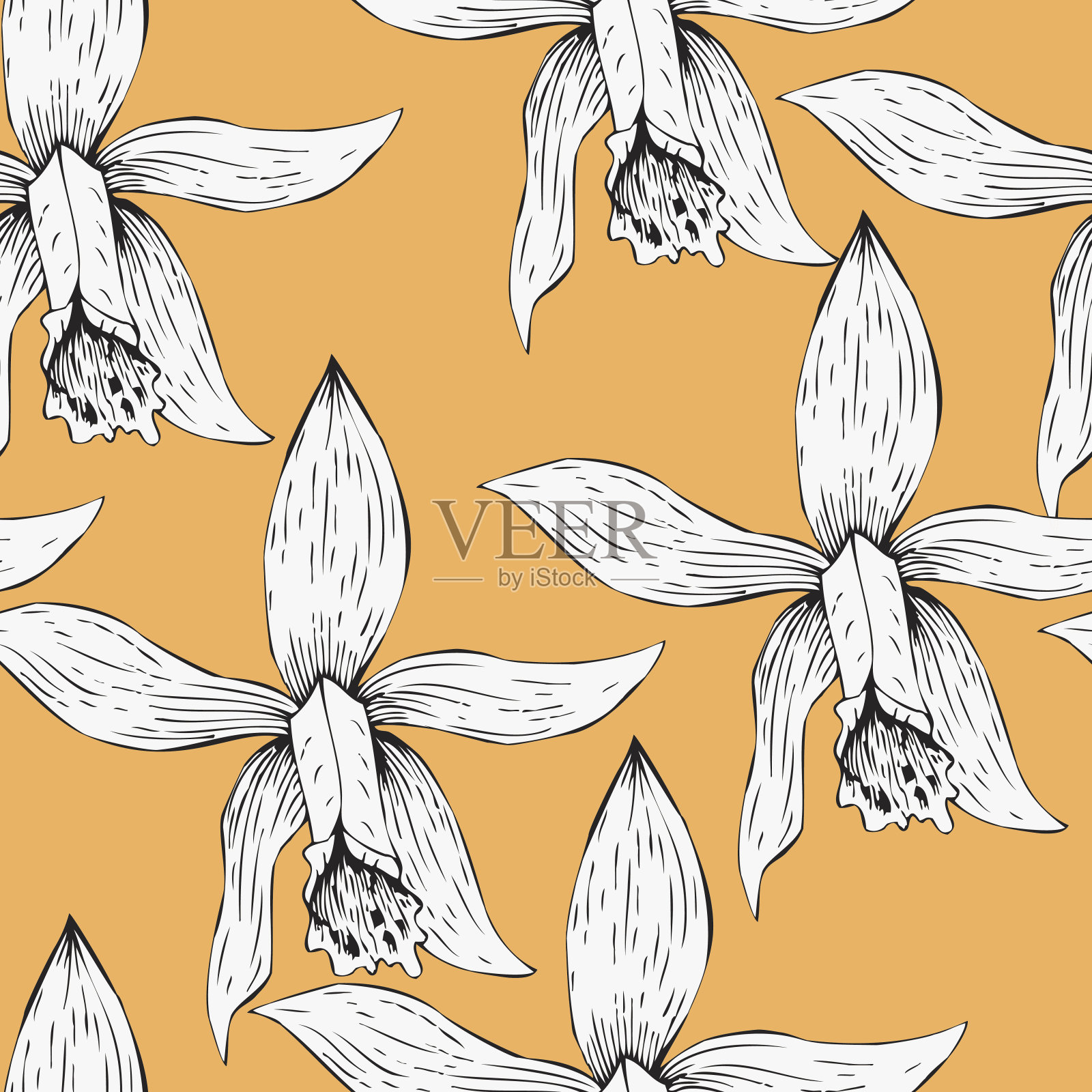 无缝图案与线描兰花插画图片素材