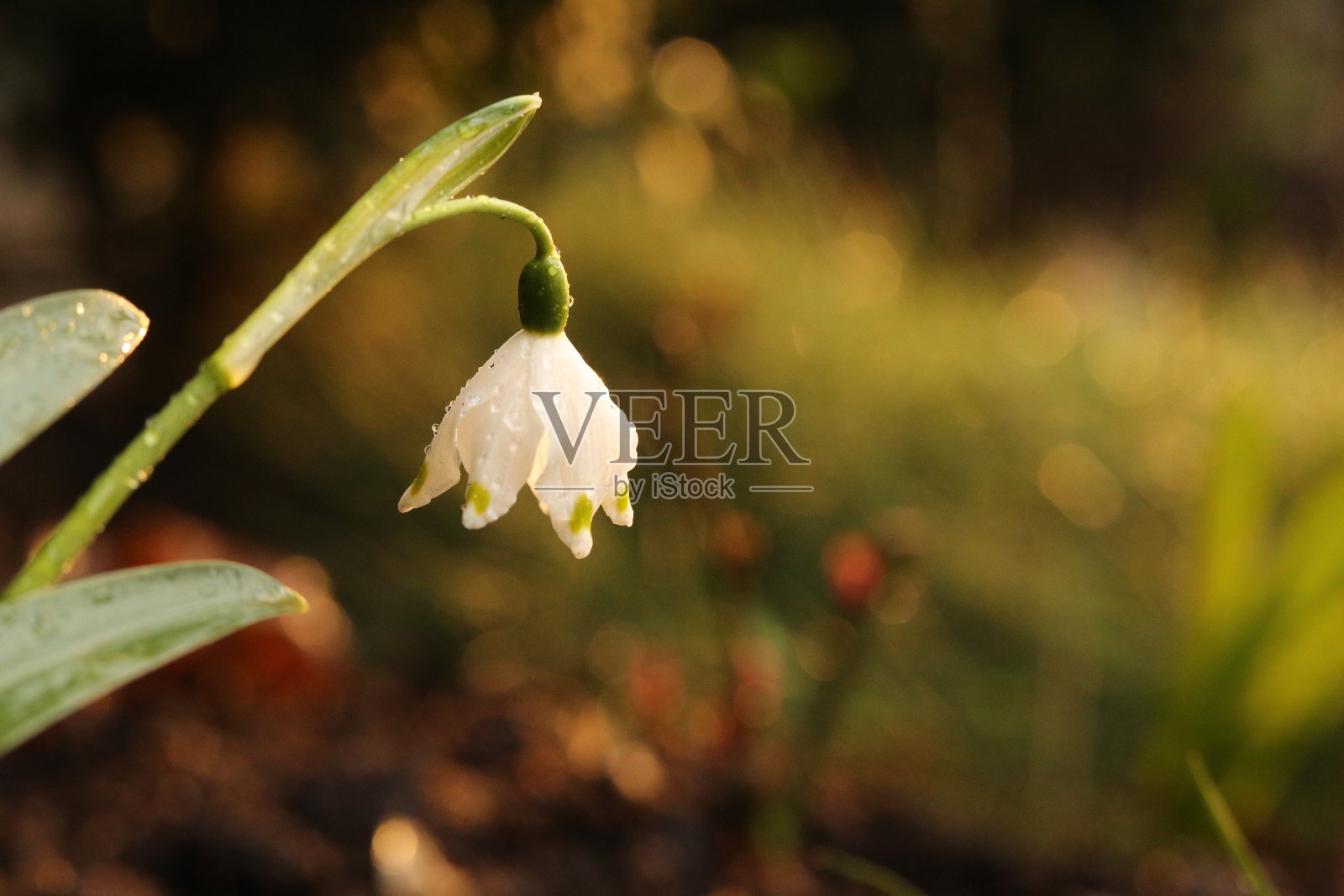 山地车头盔,孤立在白色背景照片摄影图片