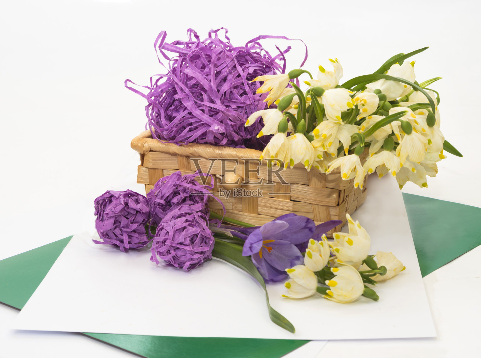 春花初开,雪花莲入篮。照片摄影图片