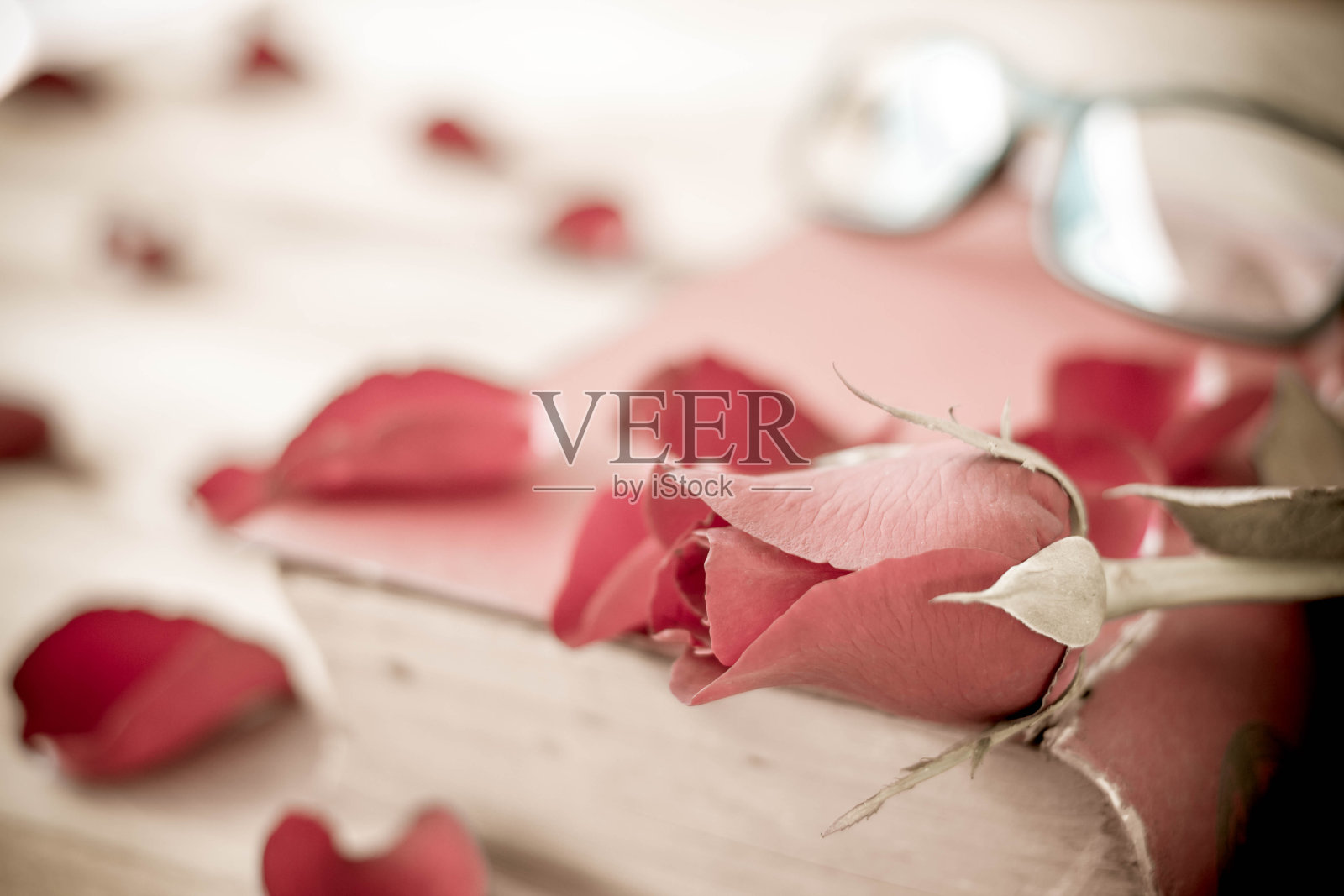 旧红书上的玫瑰,情人节的背景。复古风格。照片摄影图片