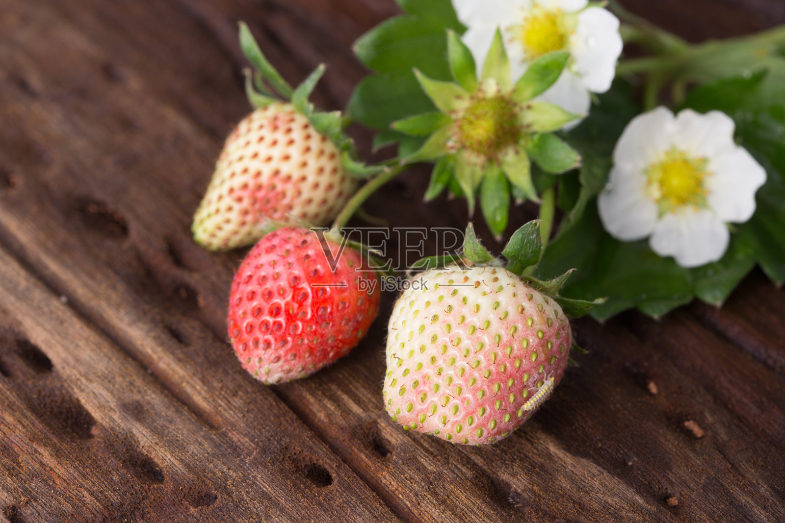 早上放在木桌上的无毒草莓。照片摄影图片