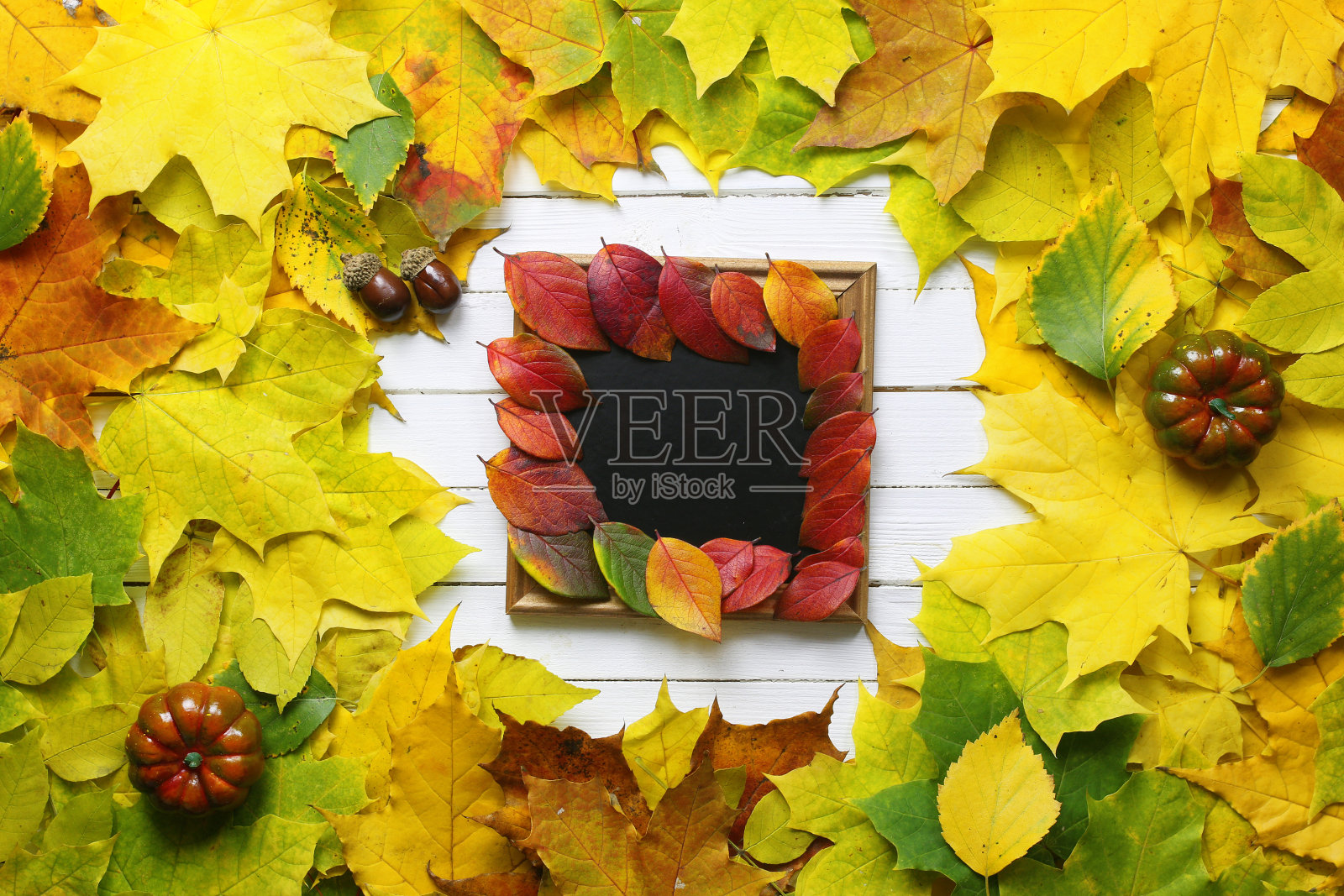 秋天的树叶背景形状圆圆的照片摄影图片