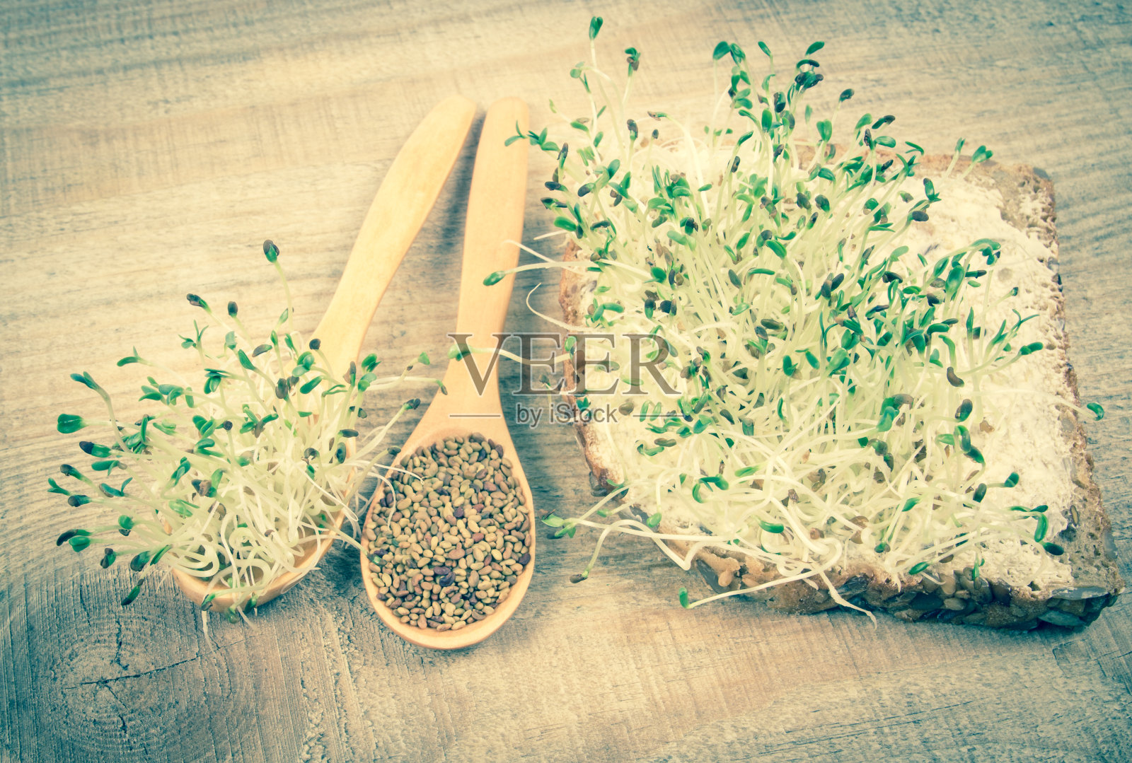 新鲜的苜蓿芽和种子-特写。照片摄影图片