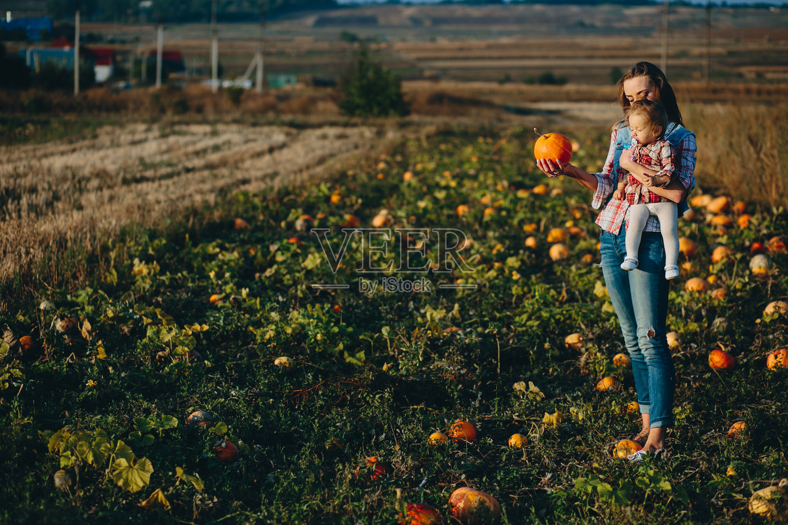 母亲和女儿在南瓜地里照片摄影图片