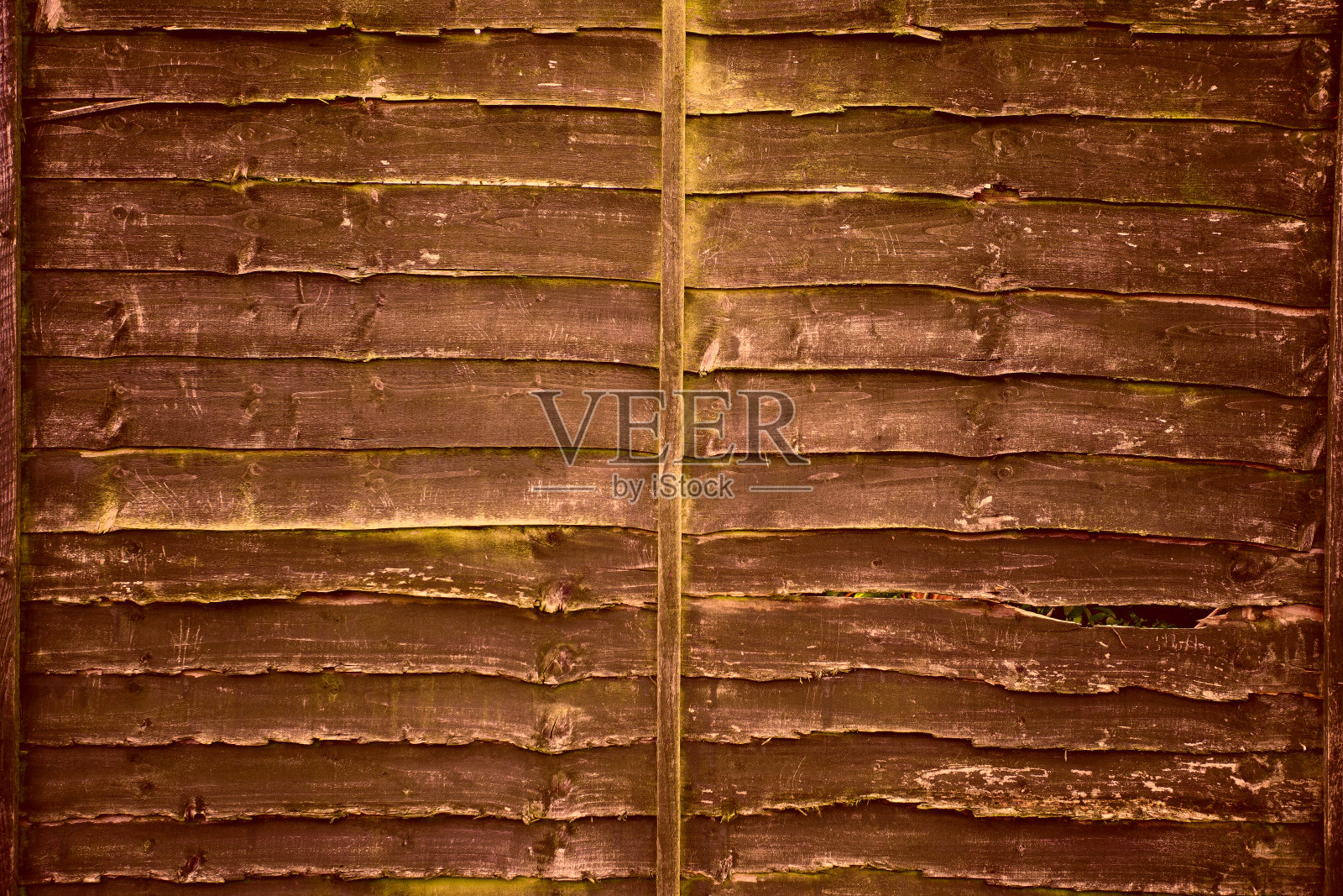 带有苔藓的旧木板照片摄影图片