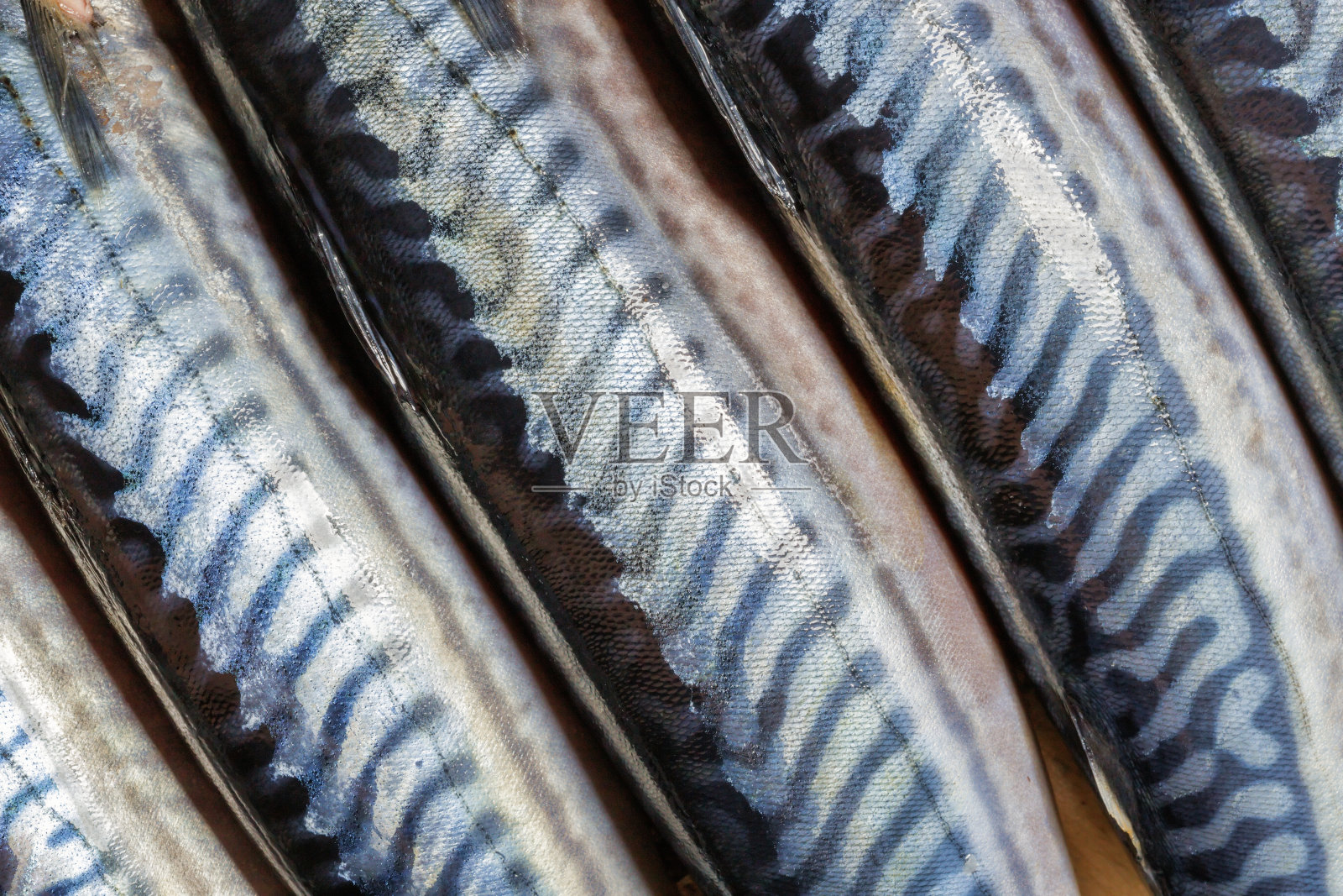 新鲜的鱼suri照片摄影图片