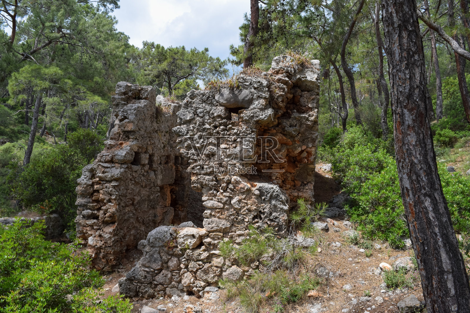Phaselis古城森林。北方墓地——墓地里有精美的墓碑。火鸡小亚细亚照片摄影图片