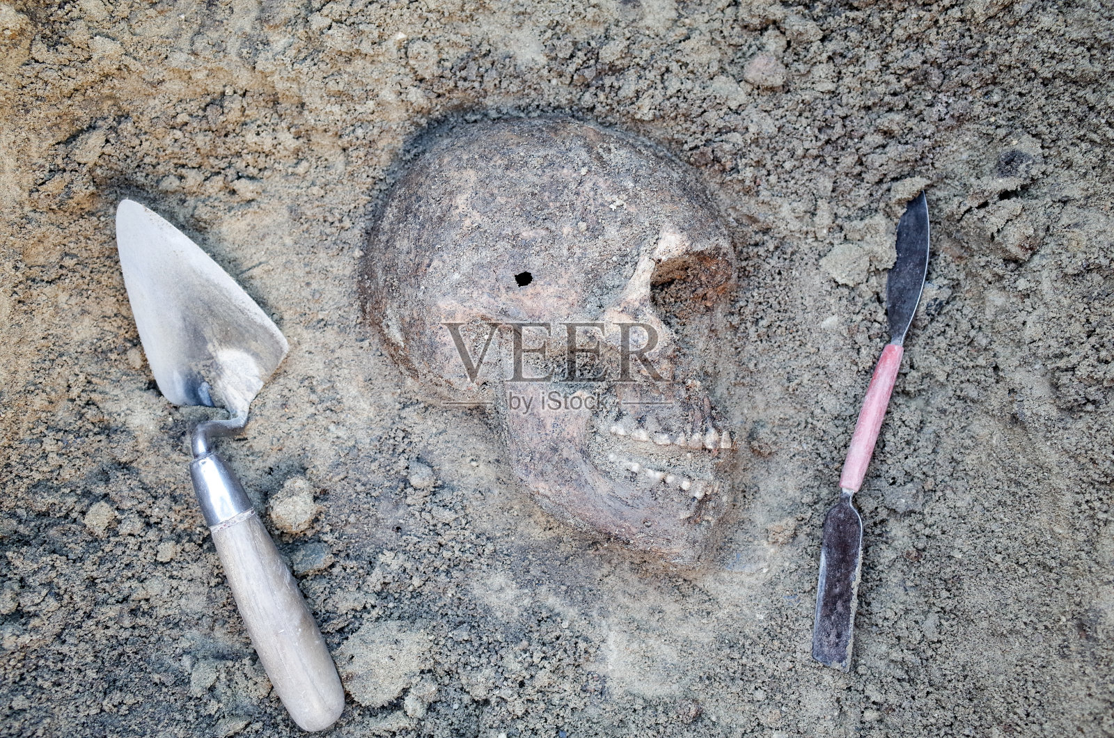 考古发掘用骨骼照片摄影图片