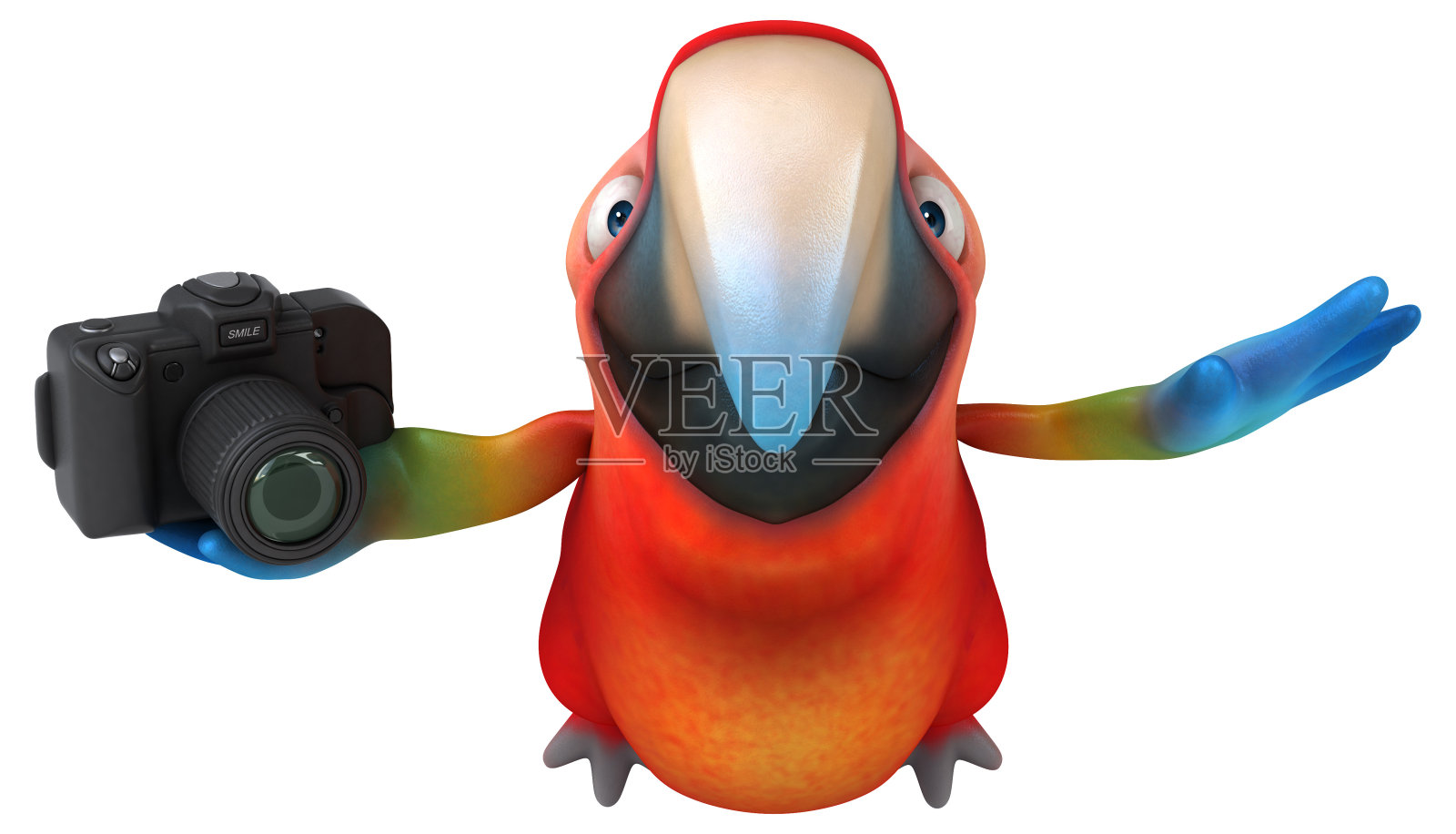 有趣的鹦鹉照片摄影图片