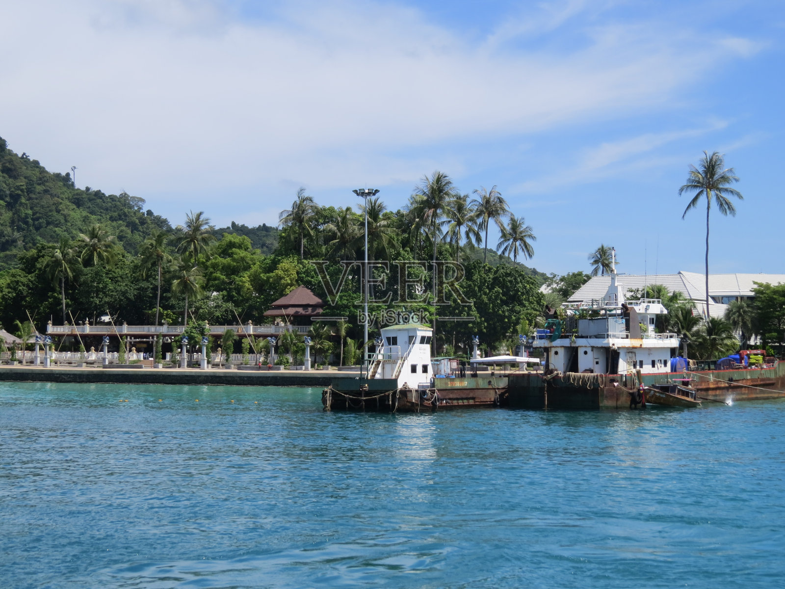 kohφφ照片摄影图片