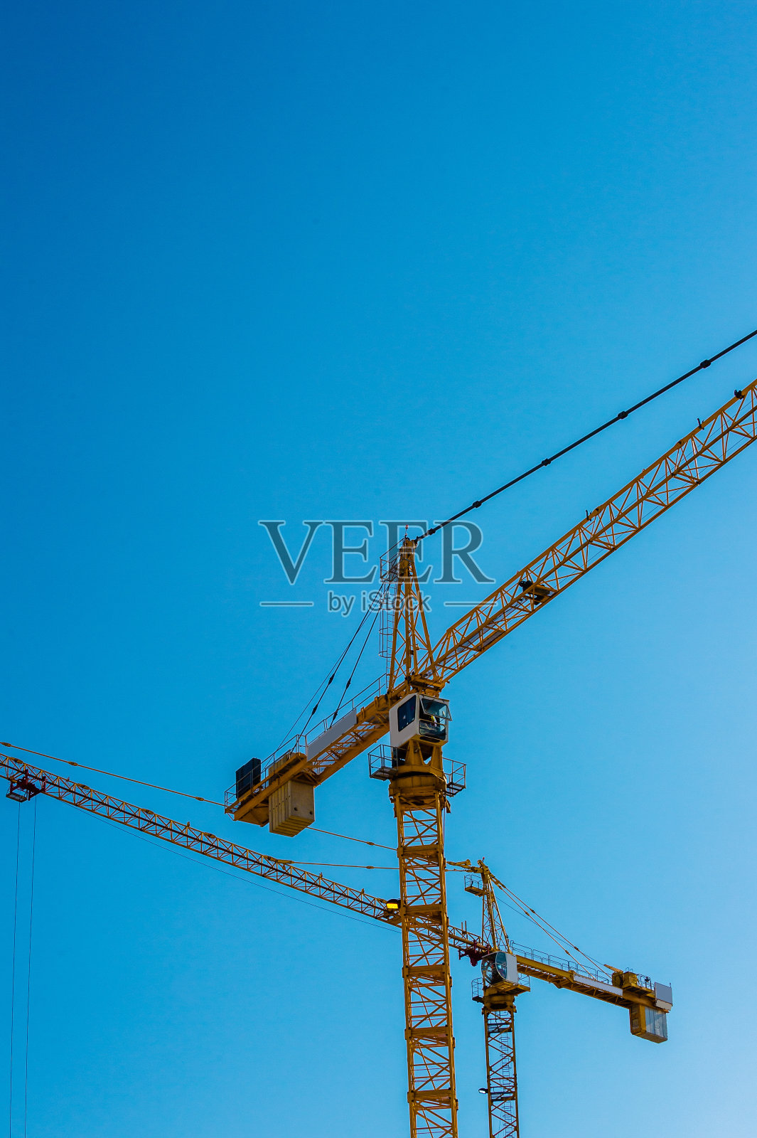 鹤和蓝天低照片摄影图片