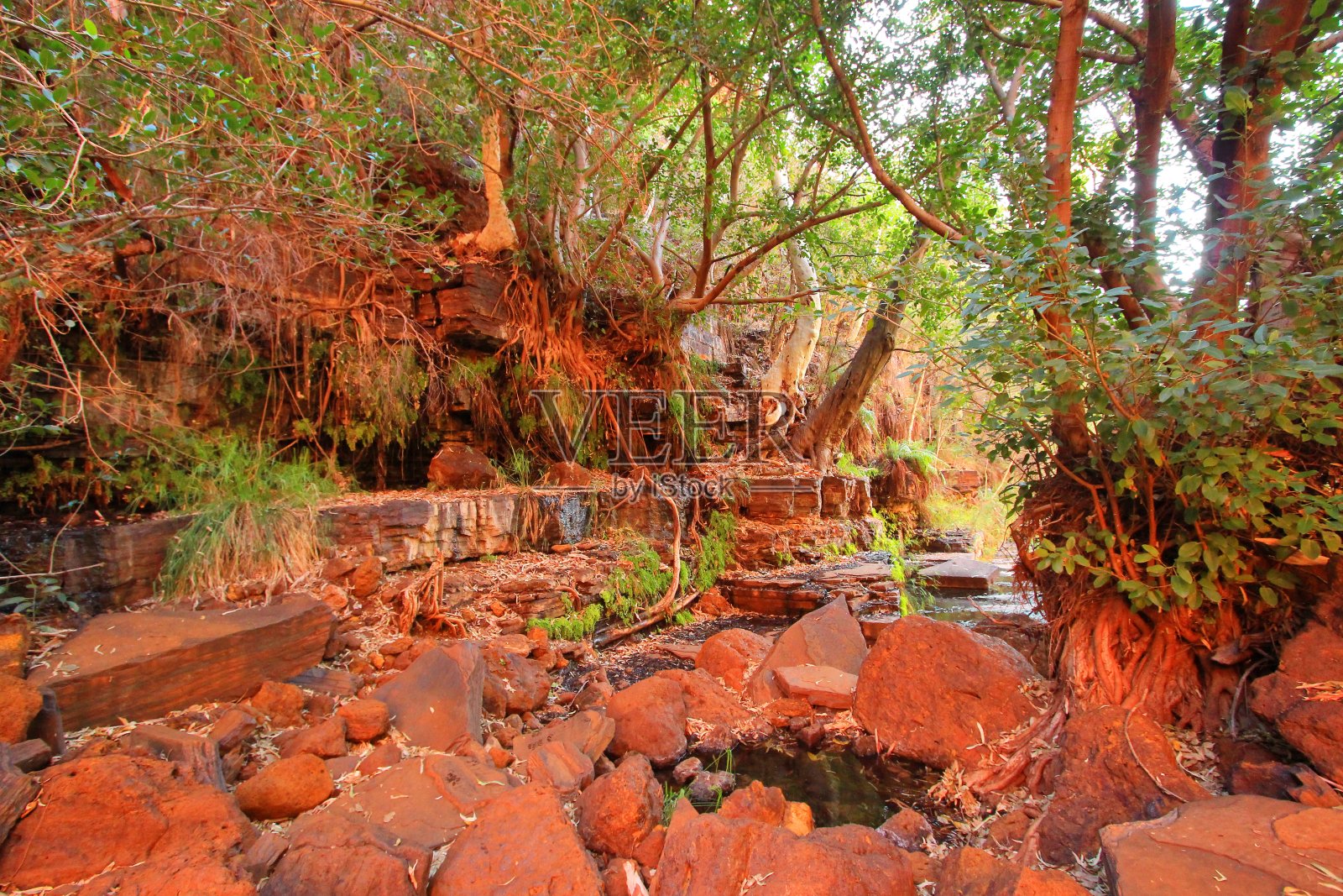 西澳卡里吉尼国家公园景色壮观照片摄影图片