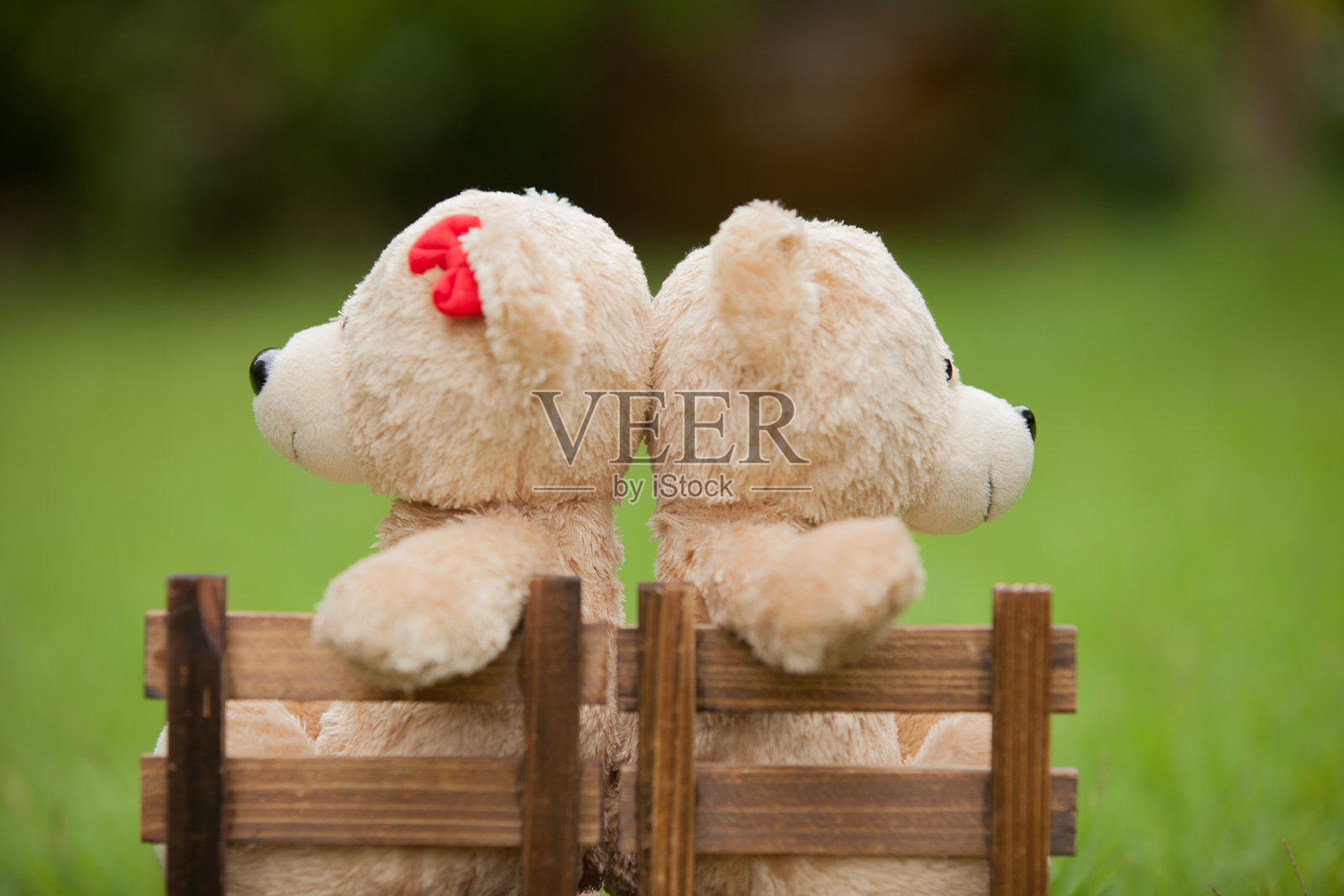 可爱的棕色两只泰迪熊坐在木椅上,在早晨,概念,爱和理解。自然背景照片摄影图片