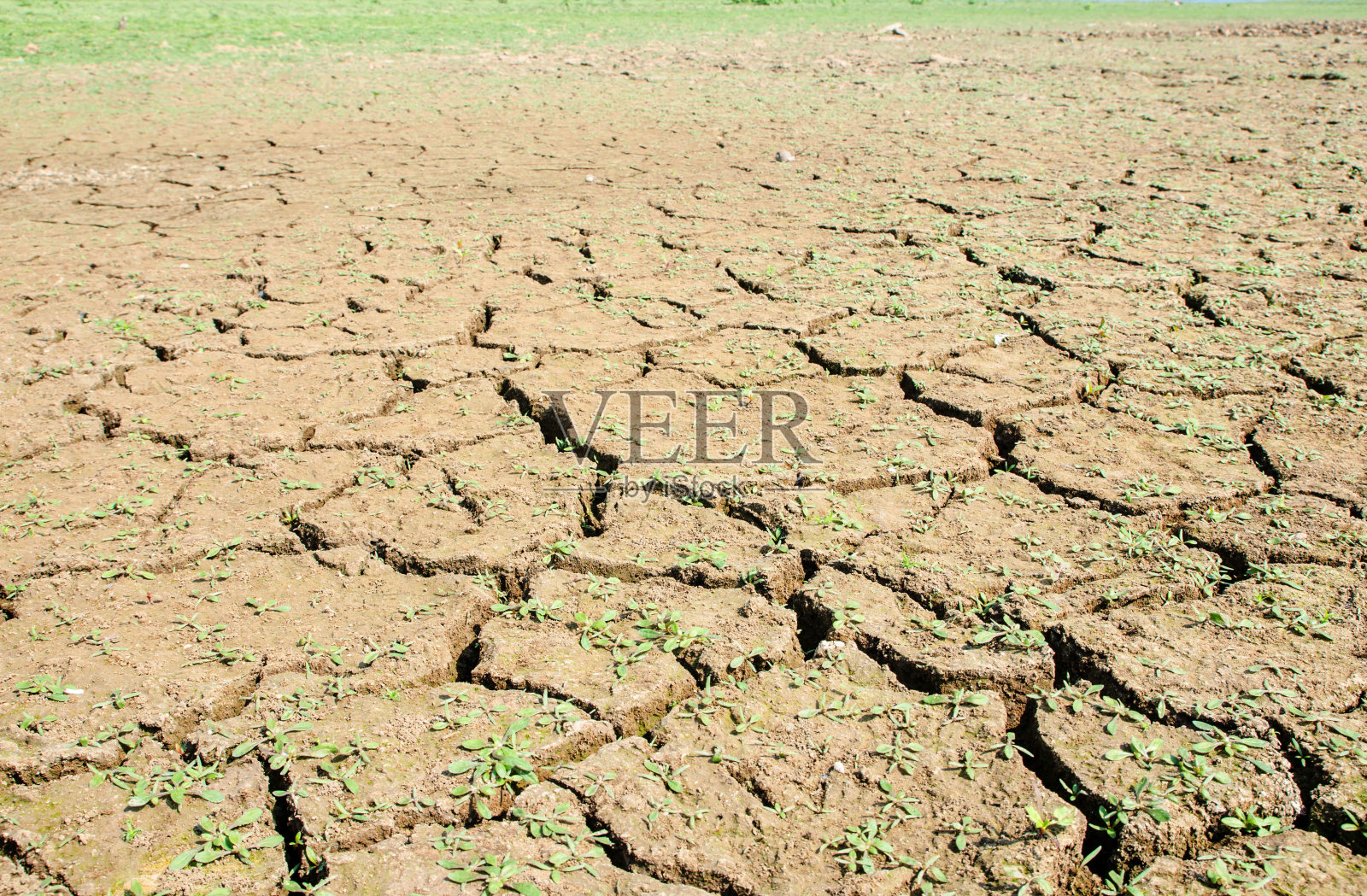 干旱,地面开裂,没有热水,缺乏水分。照片摄影图片