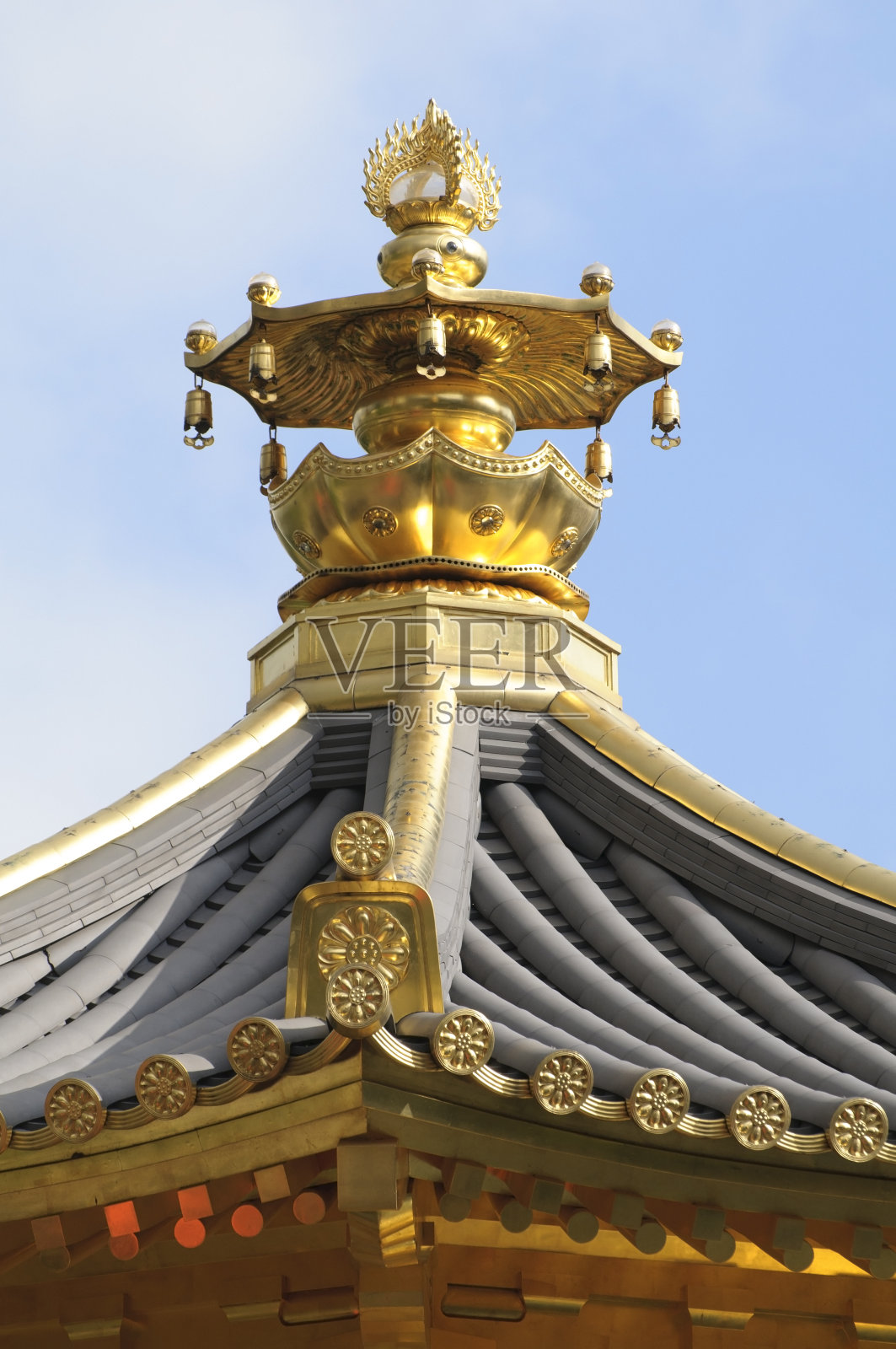 中国园林中的金阁照片摄影图片