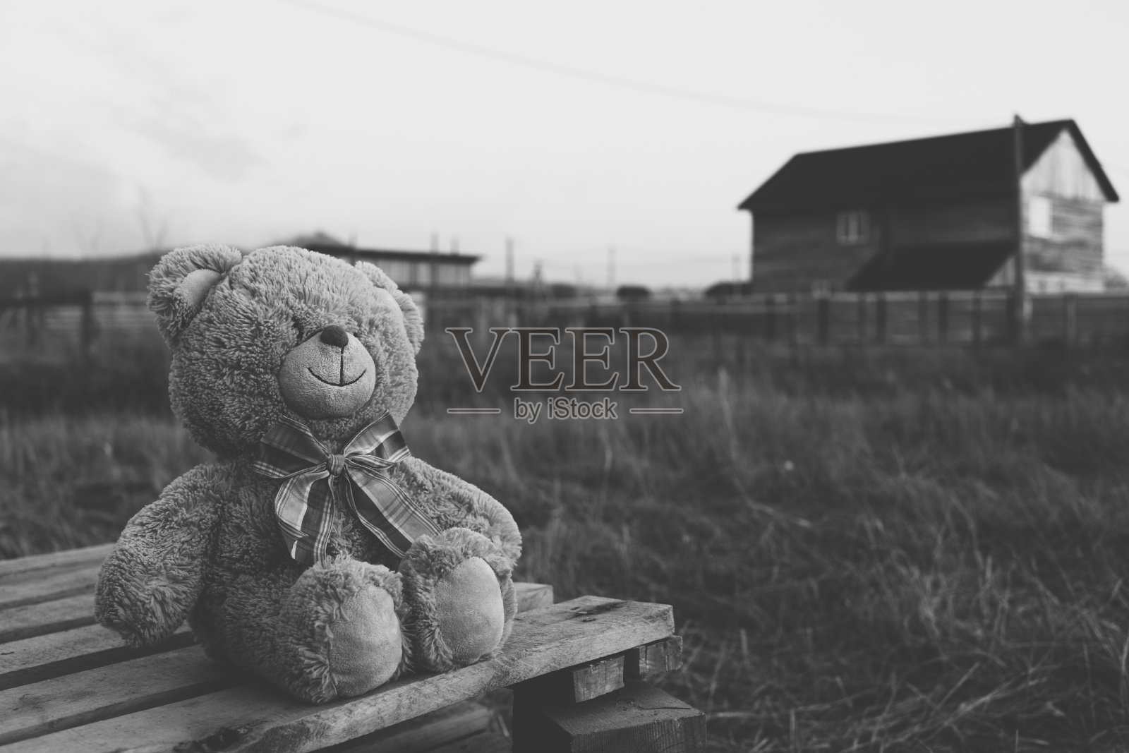 在乡下的泰迪熊。黑白色调的图像照片摄影图片